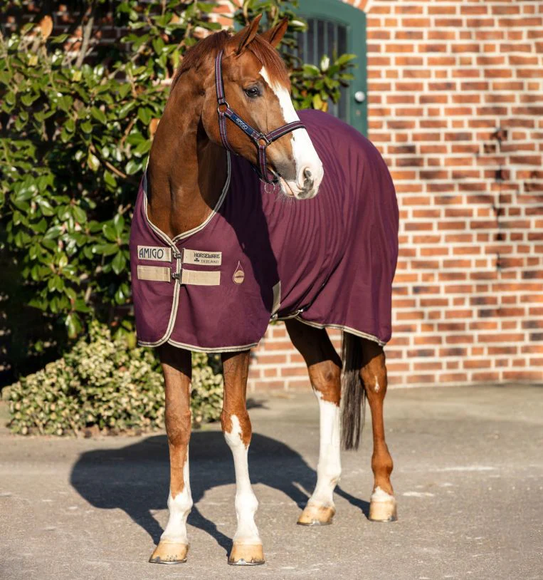 Horseware Ireland Amigo Stable Sheet - Image 7