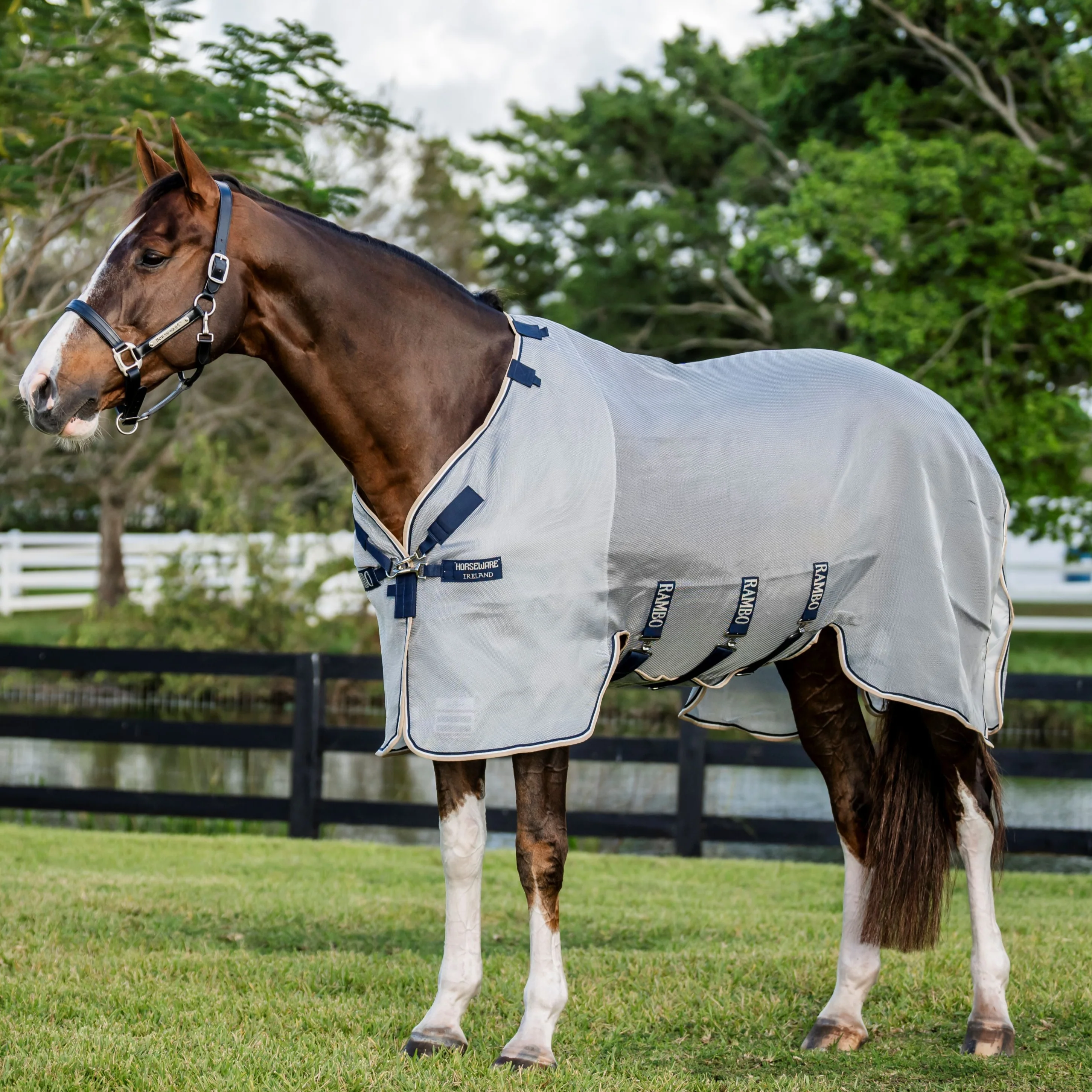 Horseware Ireland Rambo Protector