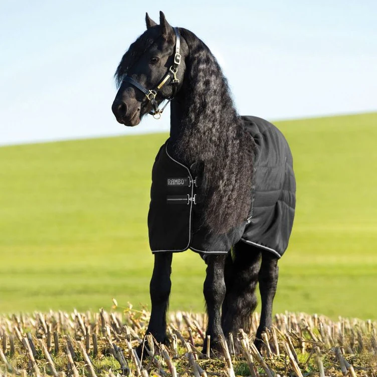Horseware Ireland Rambo Stable 100g - Image 3