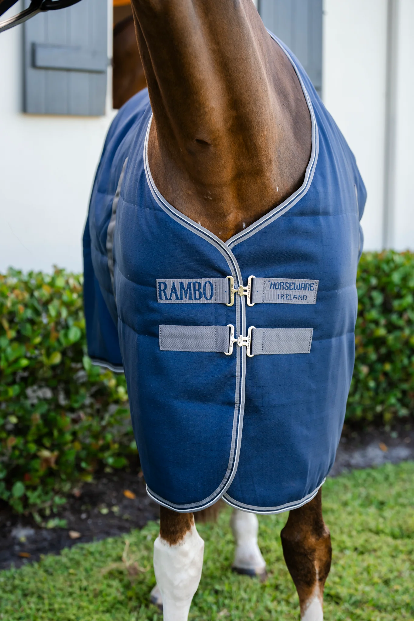 Horseware Ireland Rambo Stable 100g - Image 4