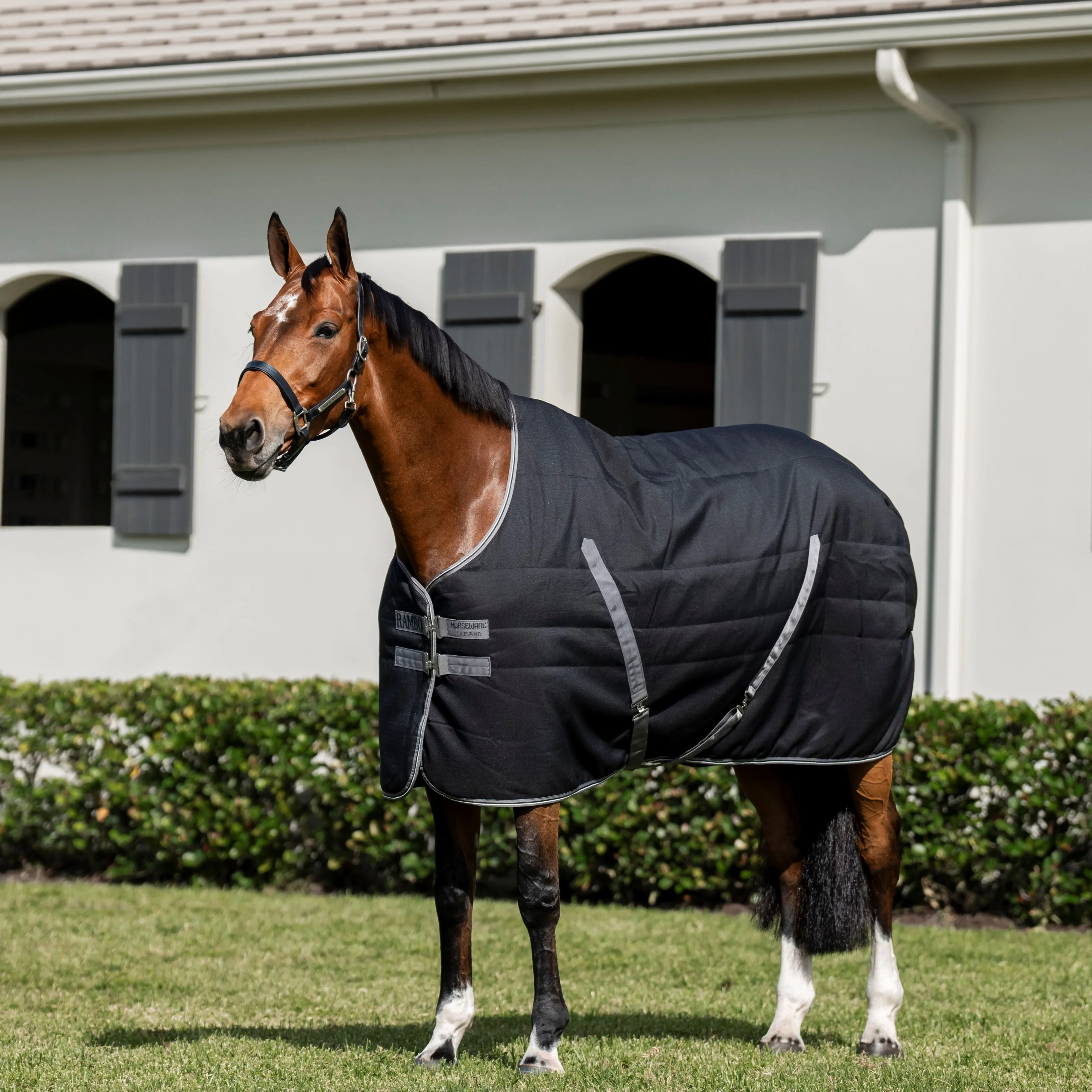 Horseware Ireland Rambo Stable 100g - Image 6
