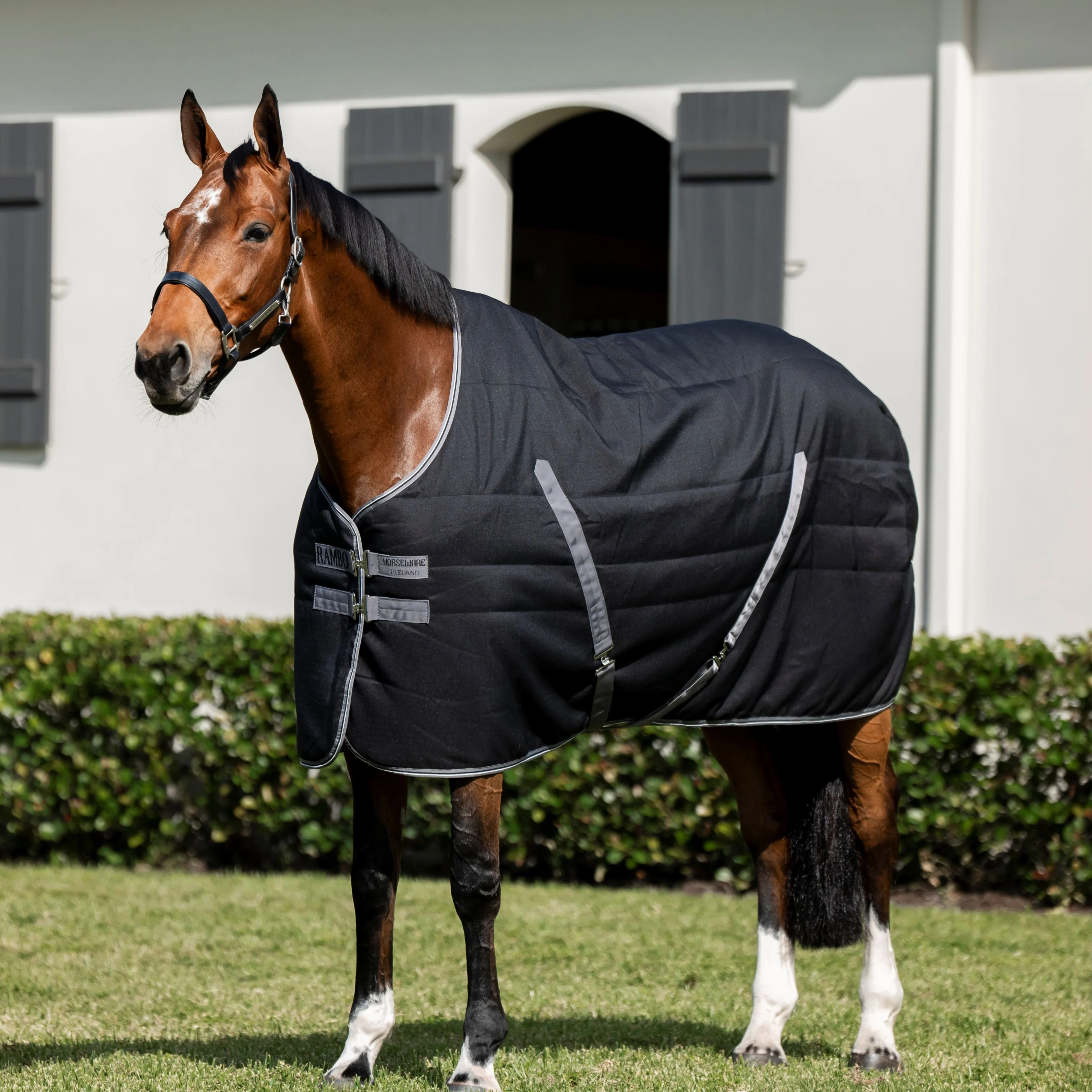 Horseware Ireland Rambo Stable 100g - Image 7