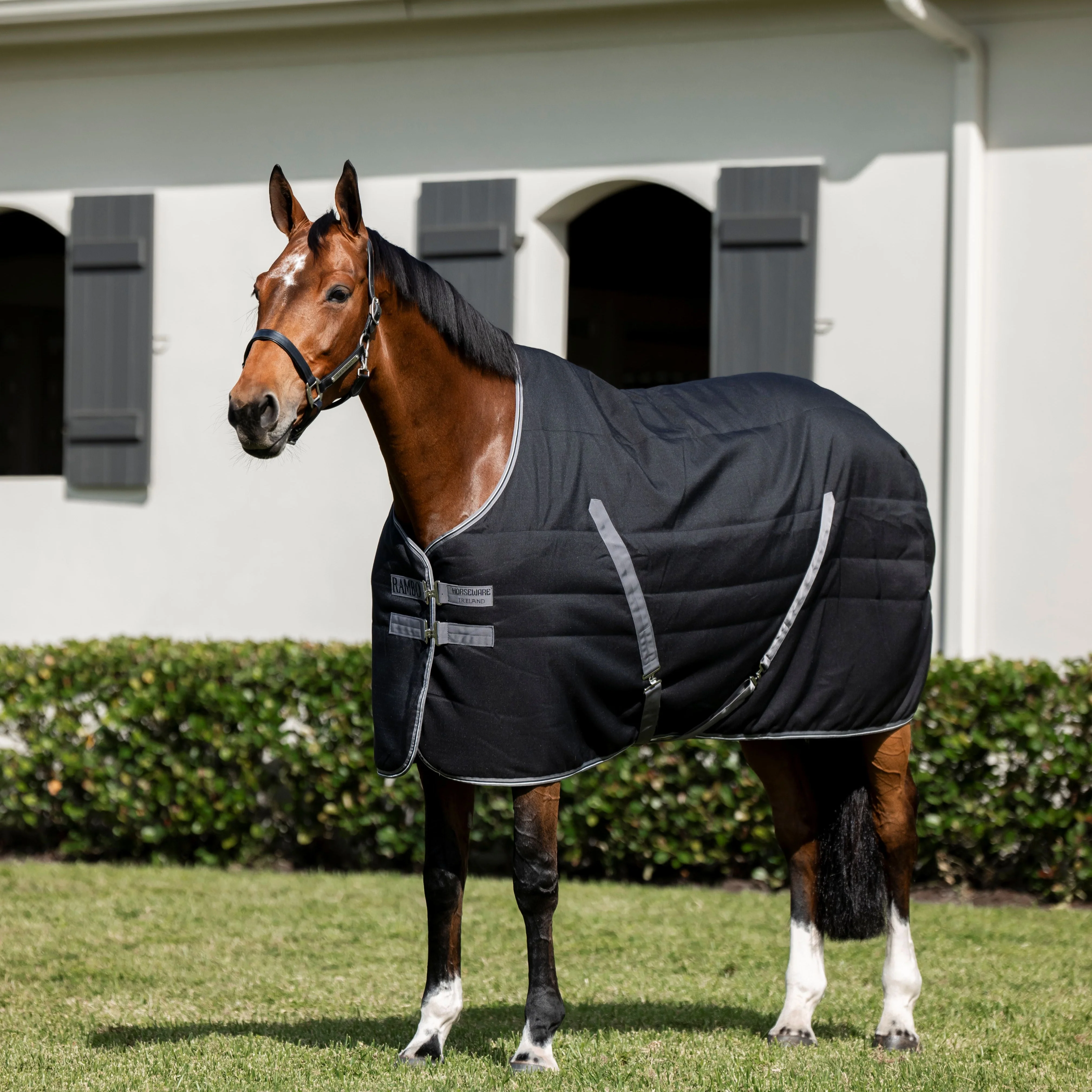Horseware Ireland Rambo Stable 200g - Image 14