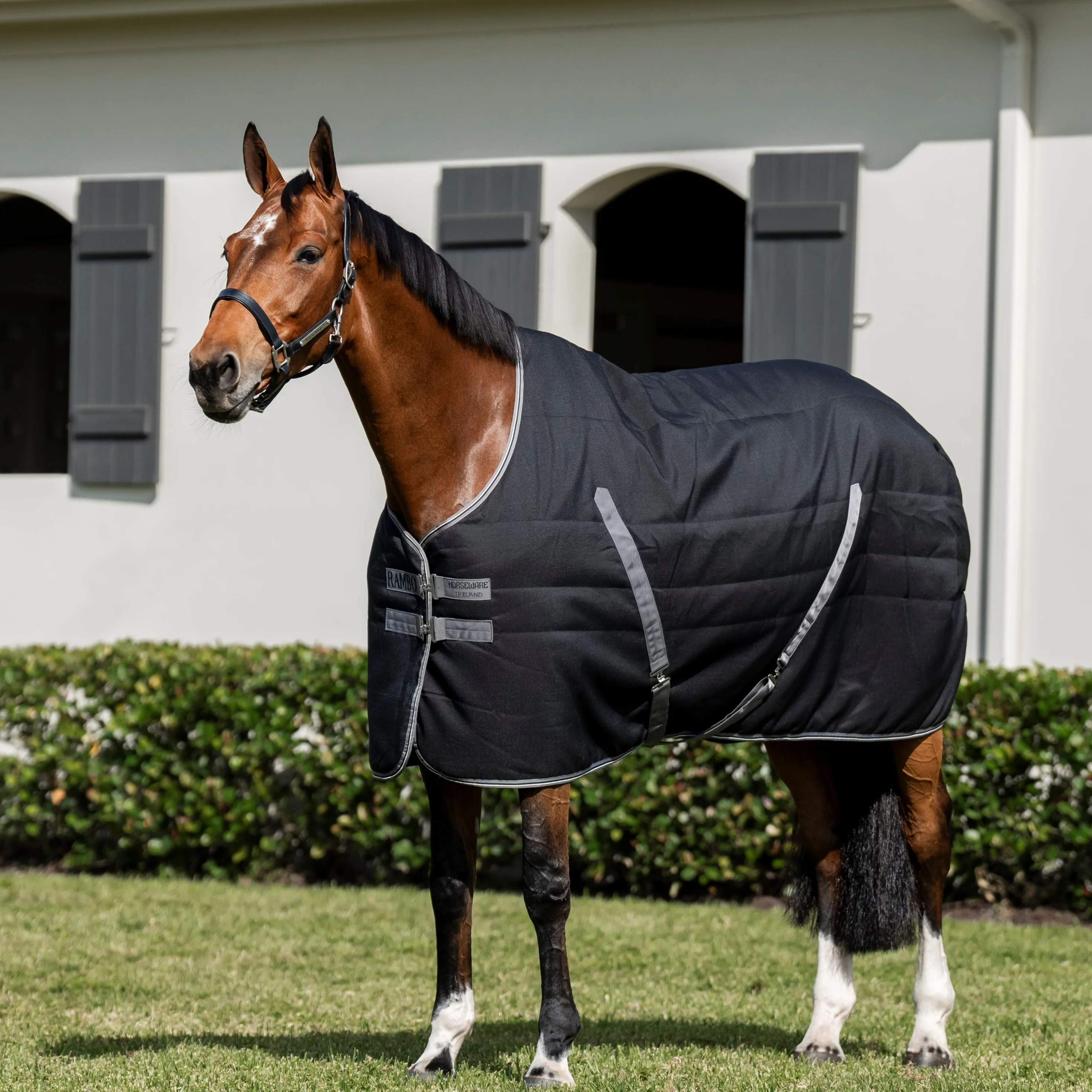 Horseware Ireland Rambo Stable 200g - Image 12