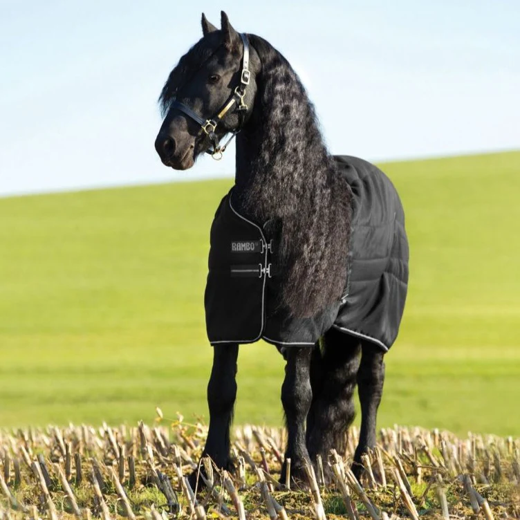 Horseware Ireland Rambo Stable 400g - Image 2