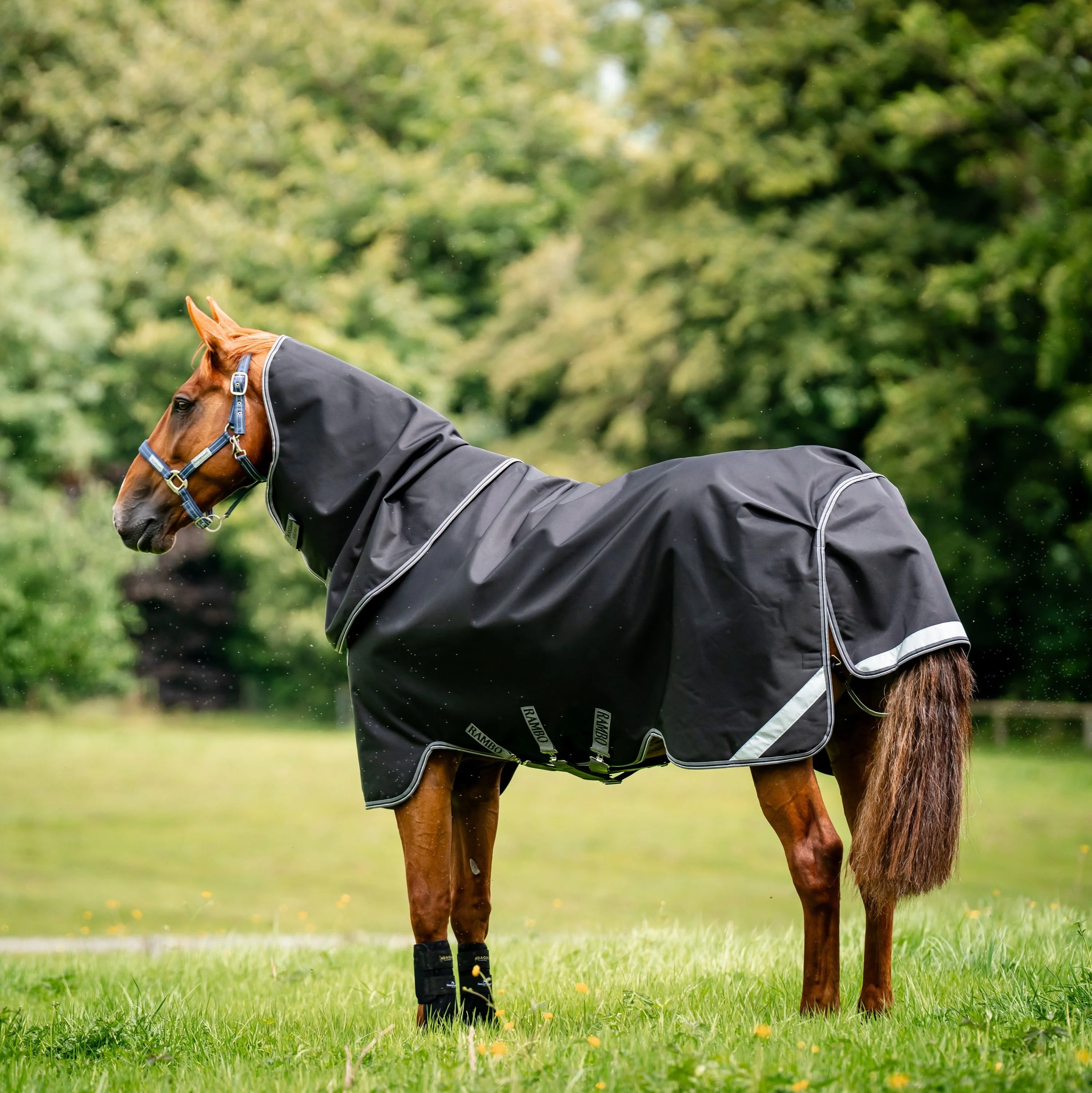 Horseware Ireland Rambo Supreme 1680D Turnout Plus 0g - Image 24