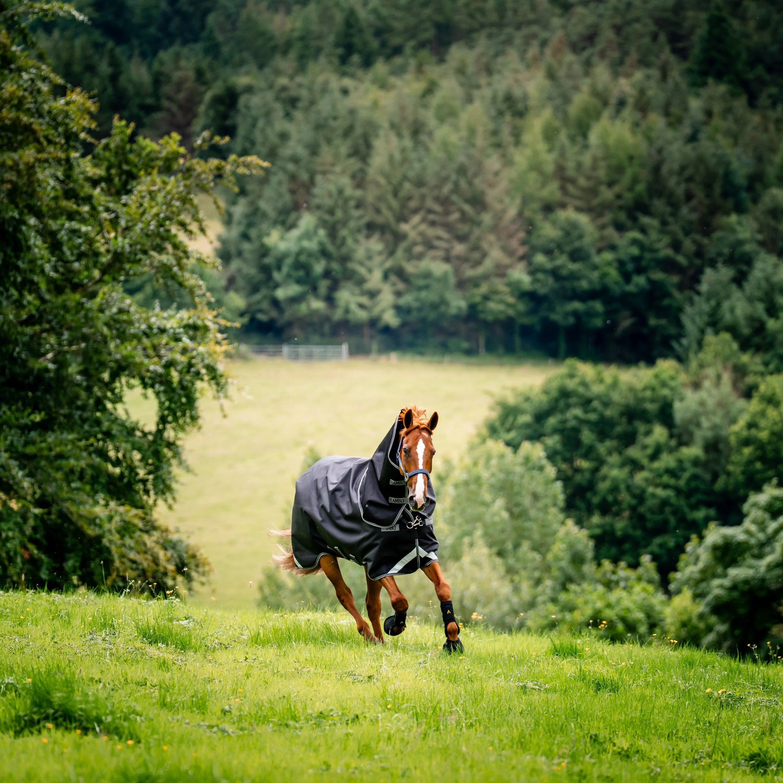 Horseware Ireland Rambo Supreme 1680D Turnout Plus 0g - Image 26