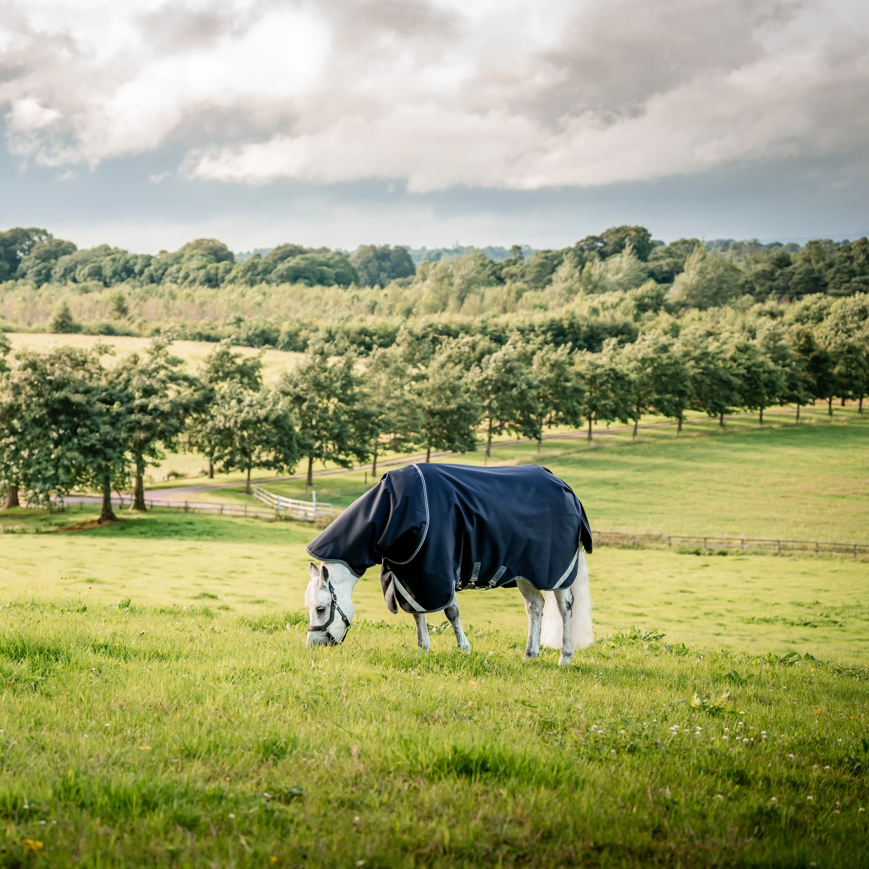 Horseware Ireland Rambo Supreme 1680D Turnout Plus 50g - Image 11