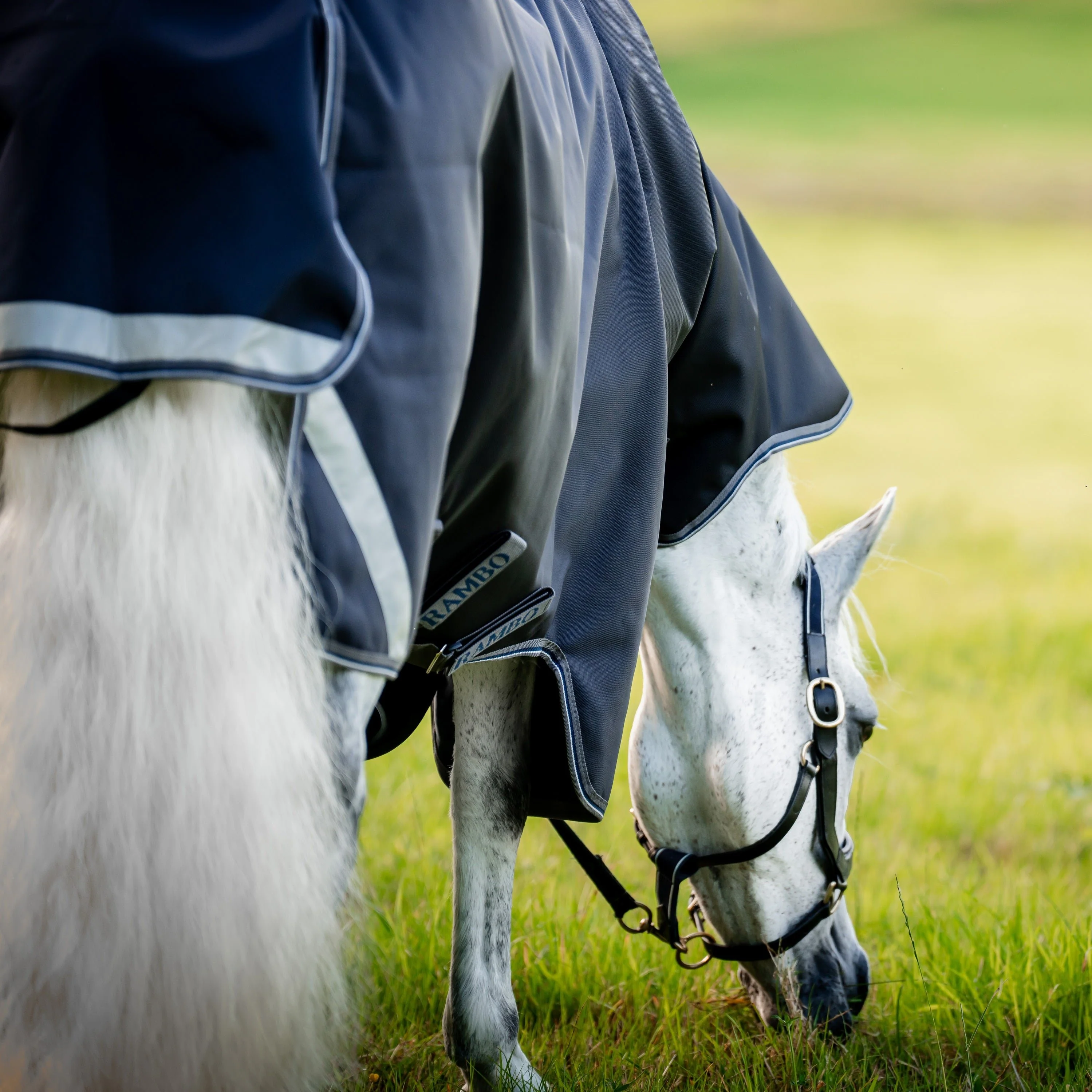 Horseware Ireland Rambo Supreme 1680D Turnout Plus 50g - Image 12