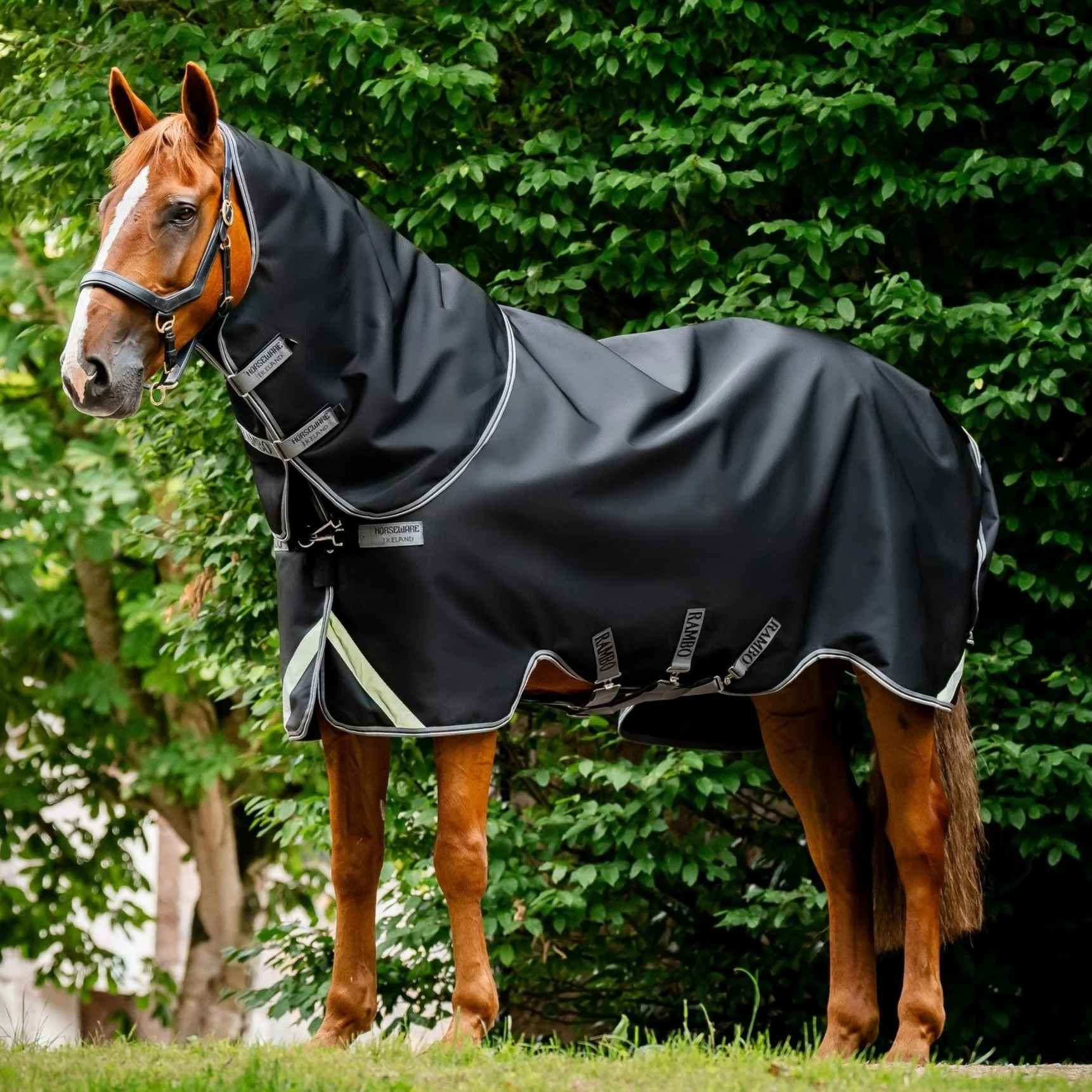 Horseware Ireland Rambo Supreme 1680D Turnout Plus 50g - Image 13