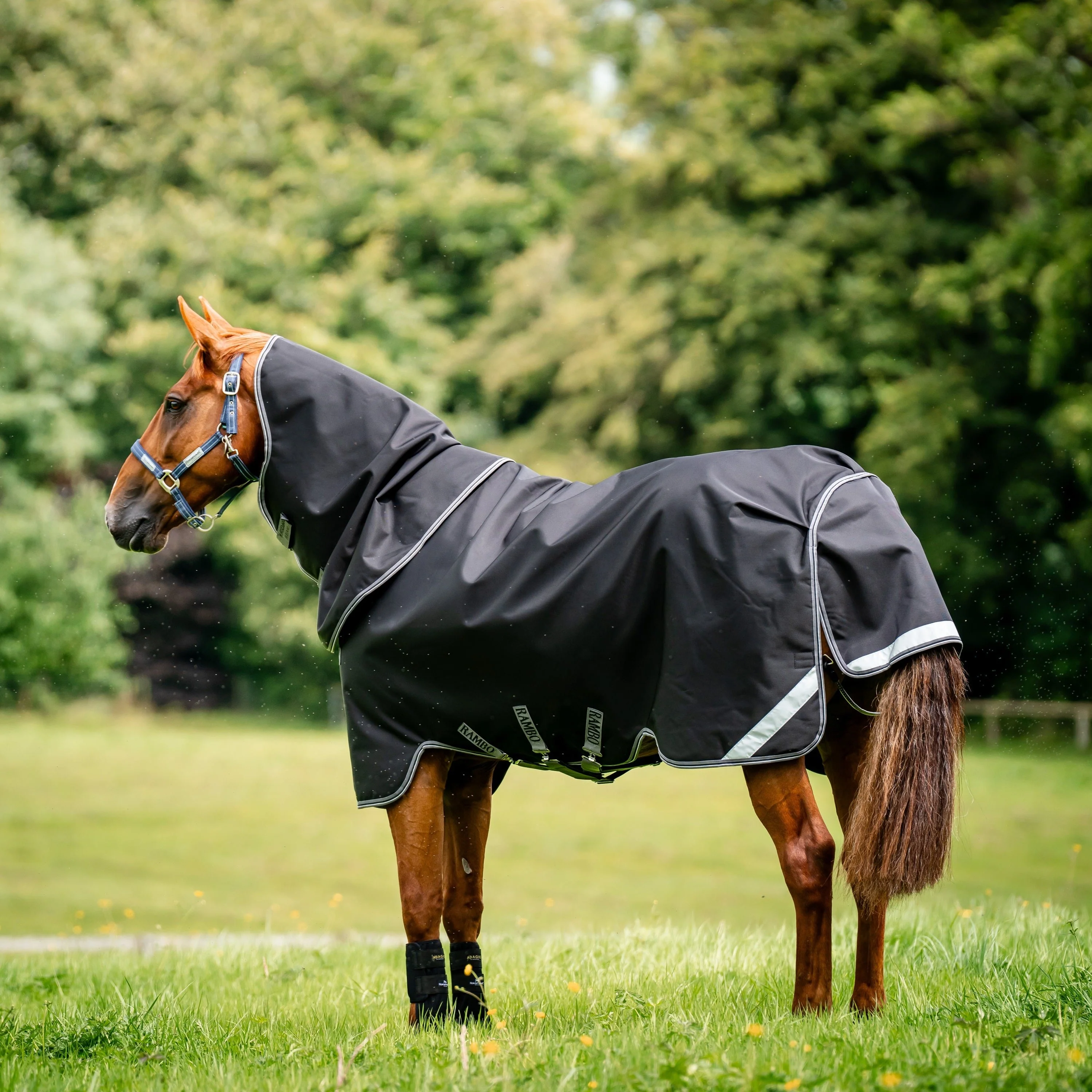 Horseware Ireland Rambo Supreme 1680D Turnout Plus 50g - Image 20