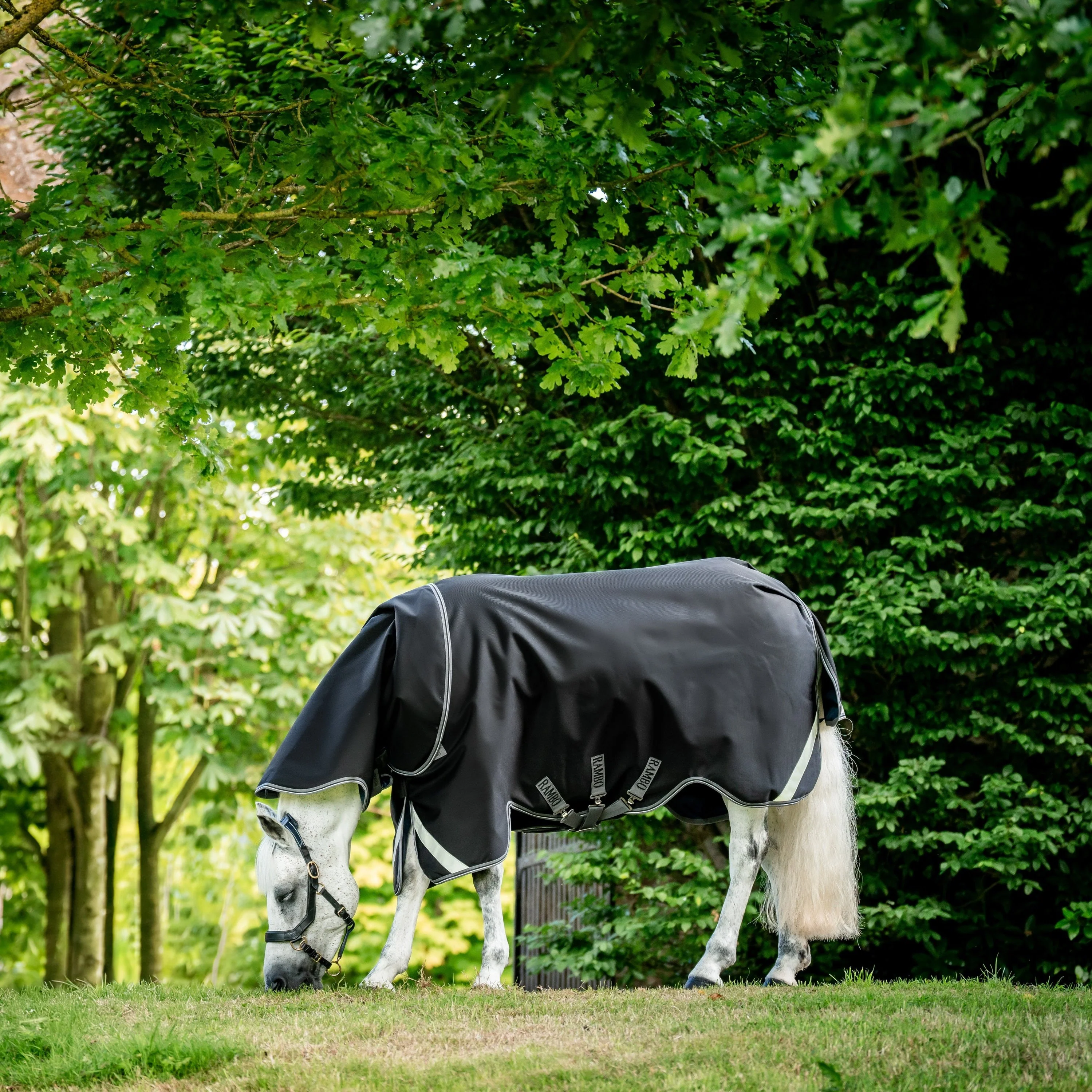 Horseware Ireland Rambo Supreme 1680D Turnout Plus 50g - Image 21