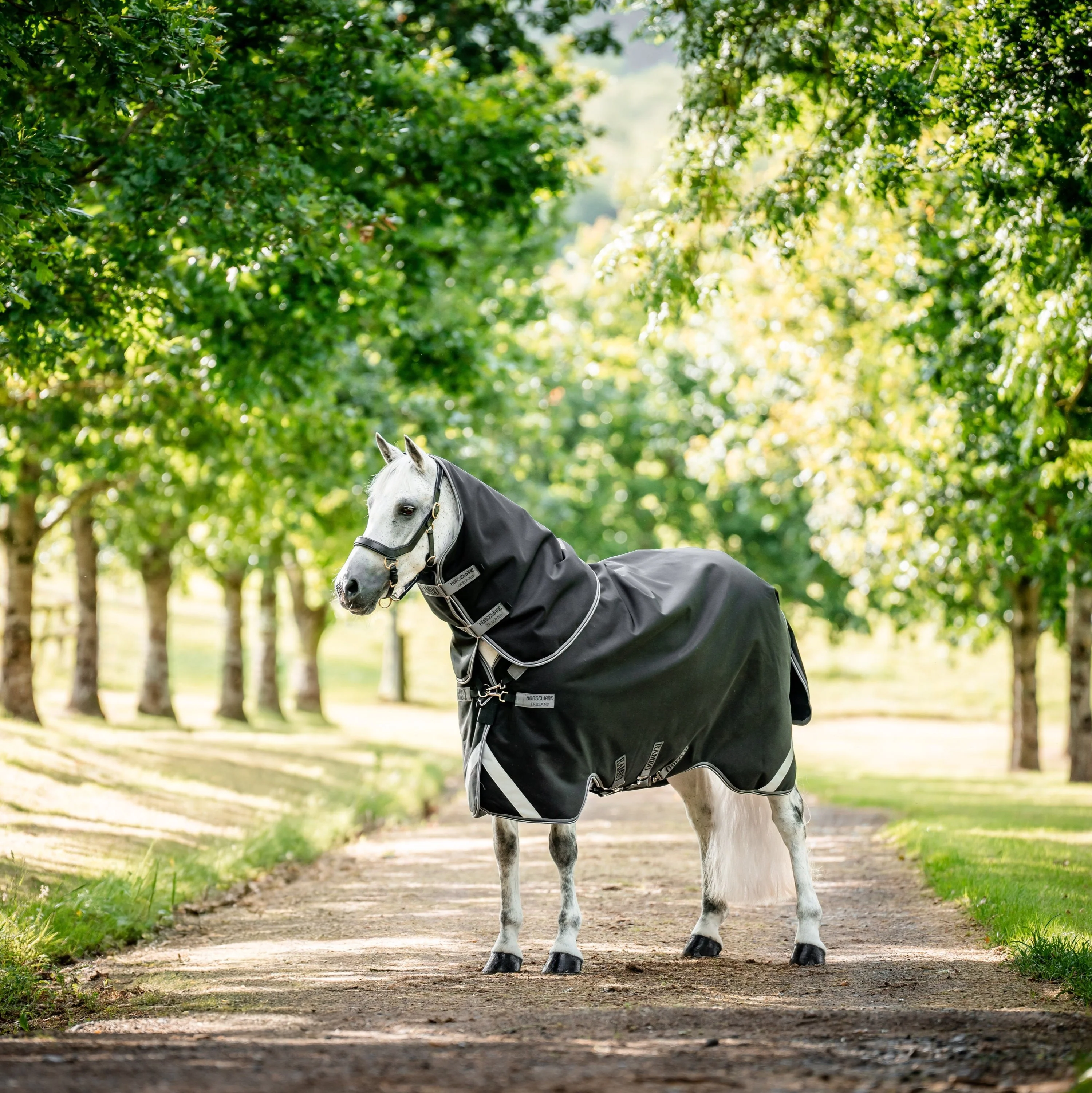 Horseware Ireland Rambo Supreme 1680D Turnout Plus 50g - Image 22