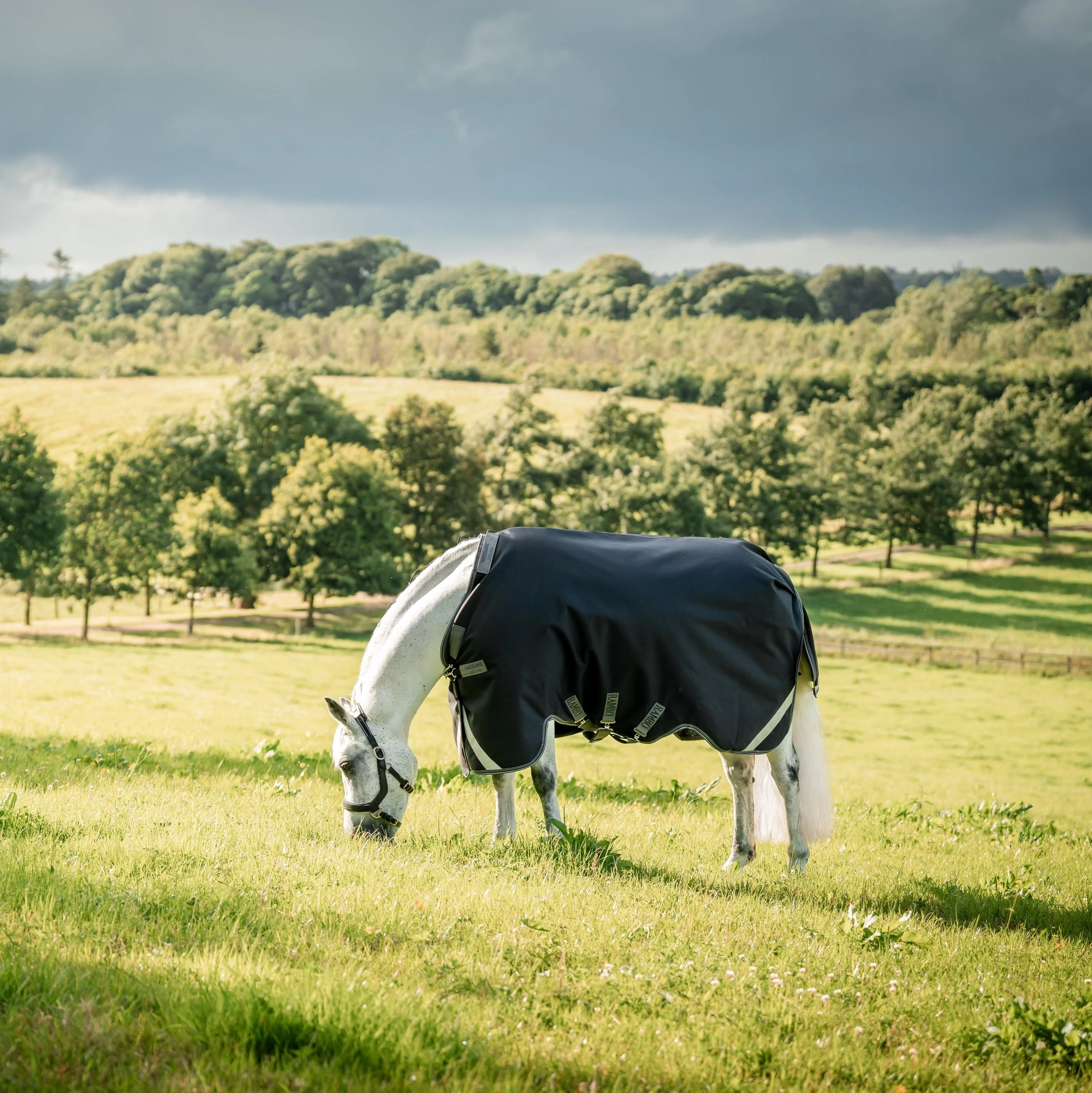 Horseware Ireland Rambo Supreme 1680D Turnout Vari-Layer 450g - Image 31