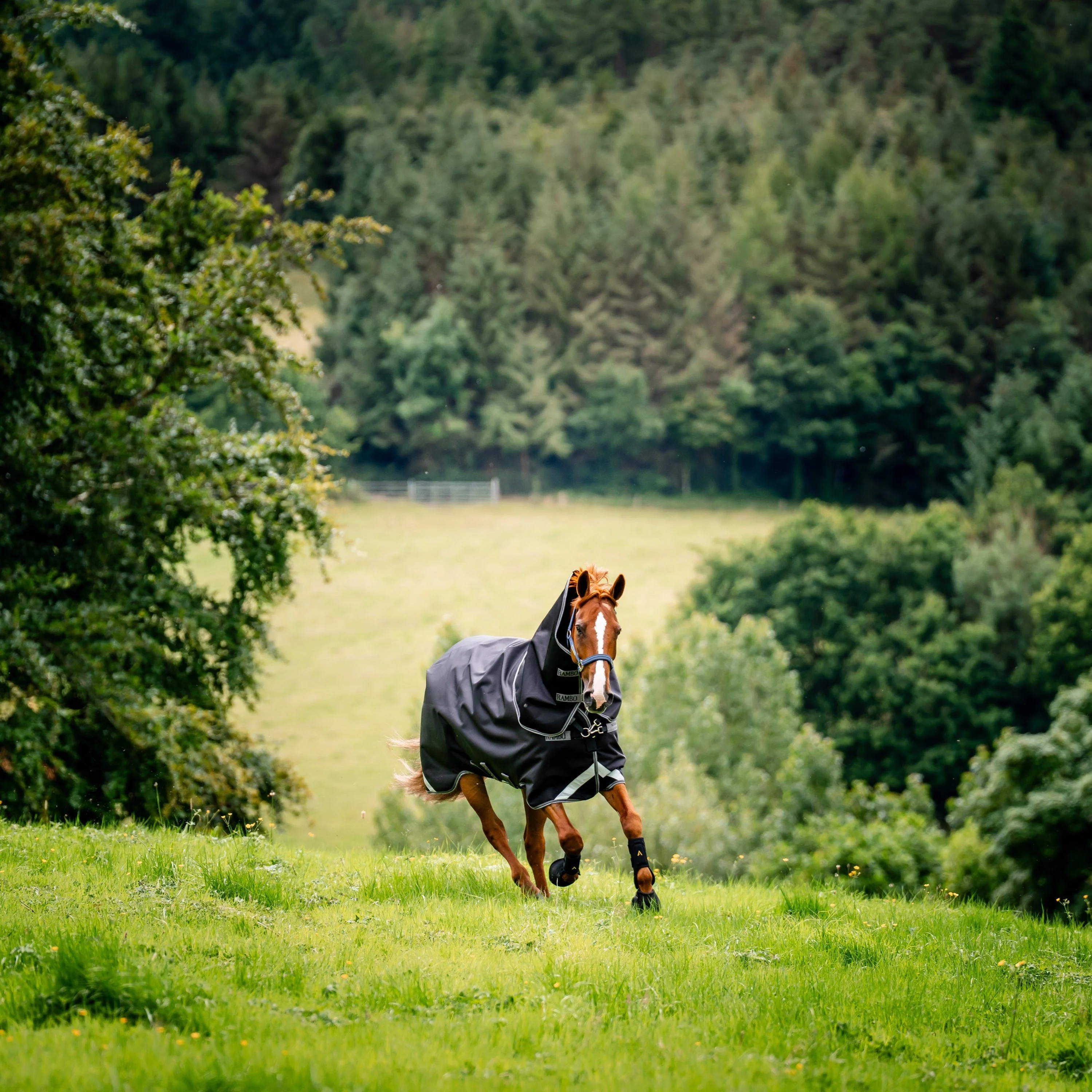 Horseware Ireland Rambo Supreme 1680D Turnout Vari-Layer 450g - Image 37