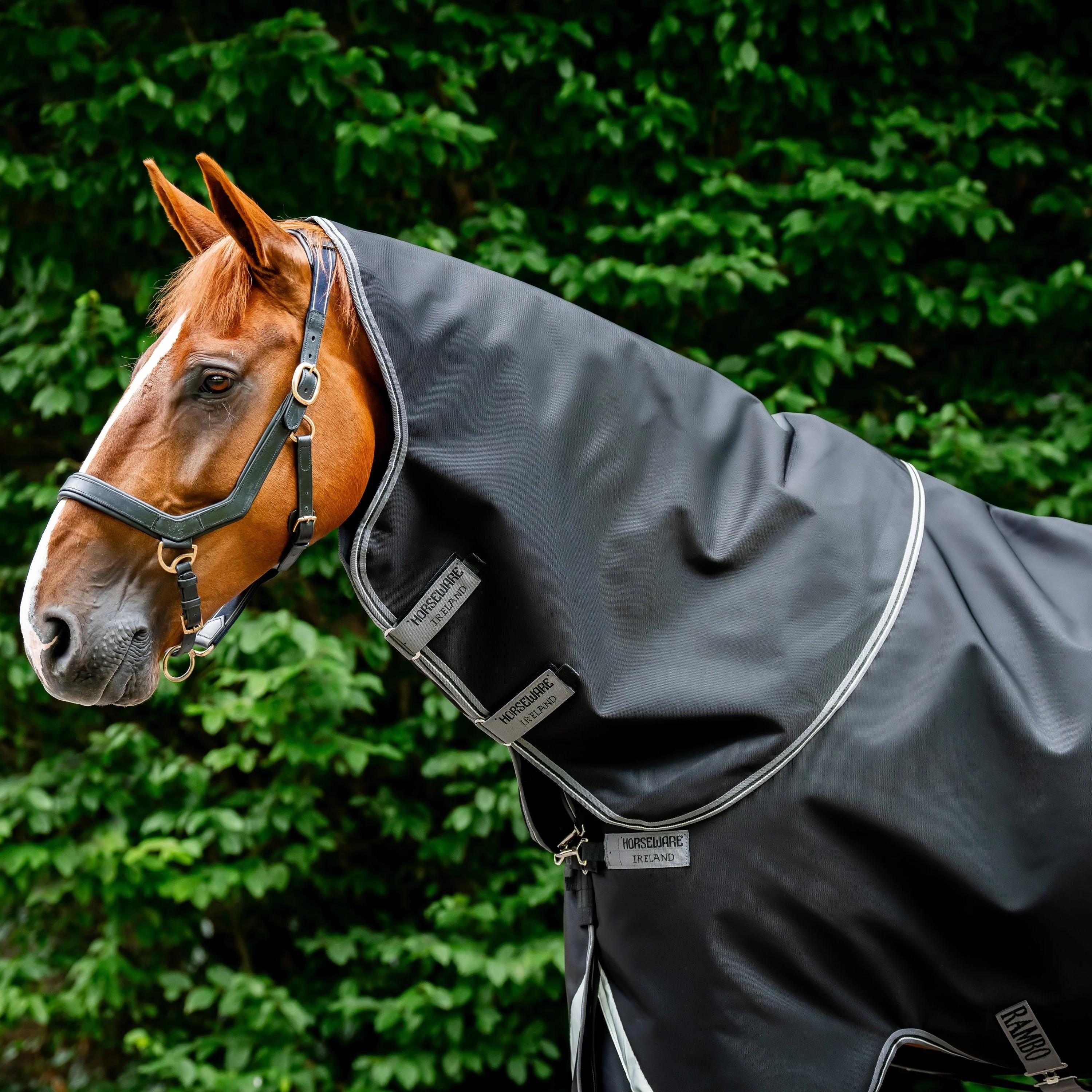 Horseware Ireland Rambo Supreme Hood 50g - Image 3