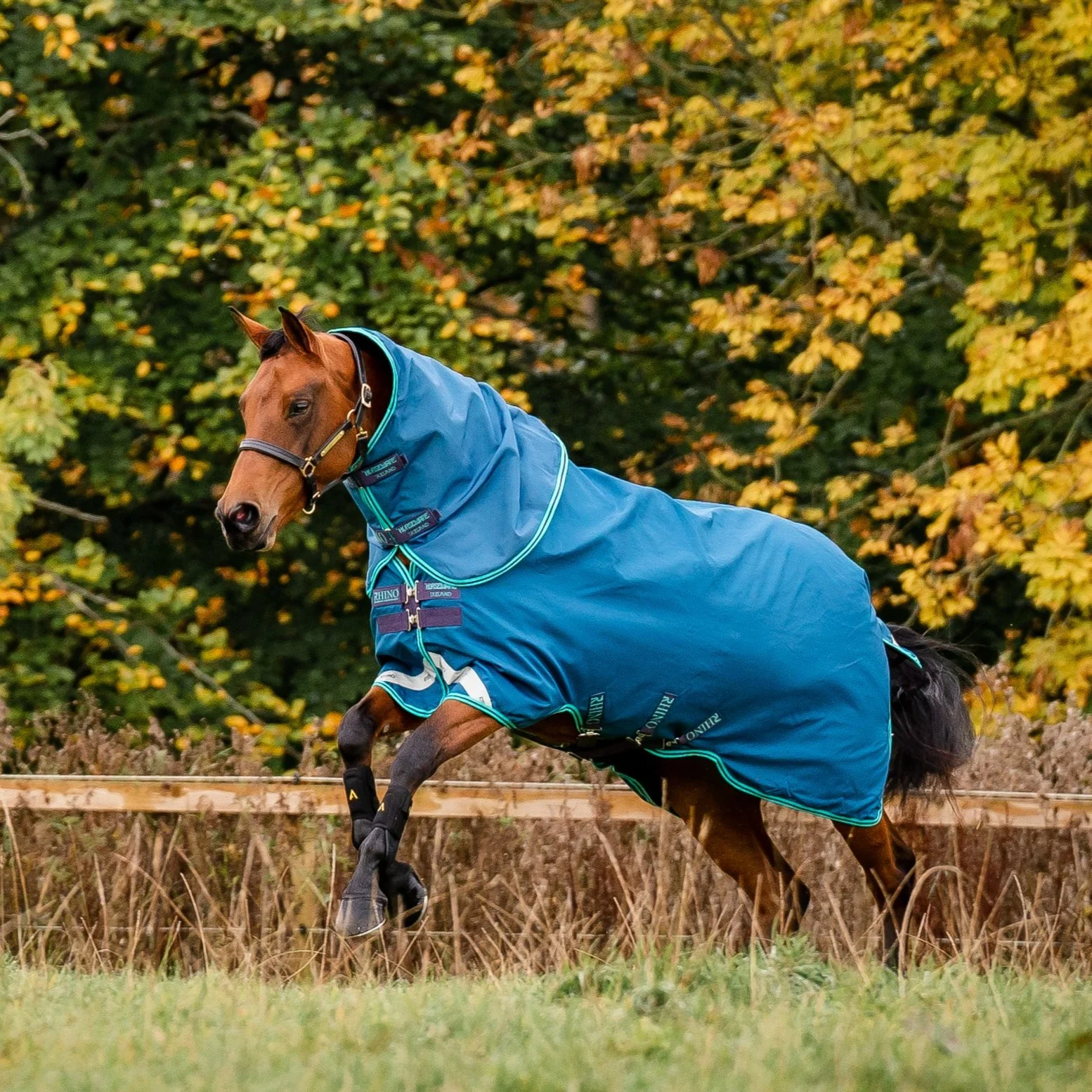 Horseware Ireland Rhino Turnout Hood 0g - Image 4