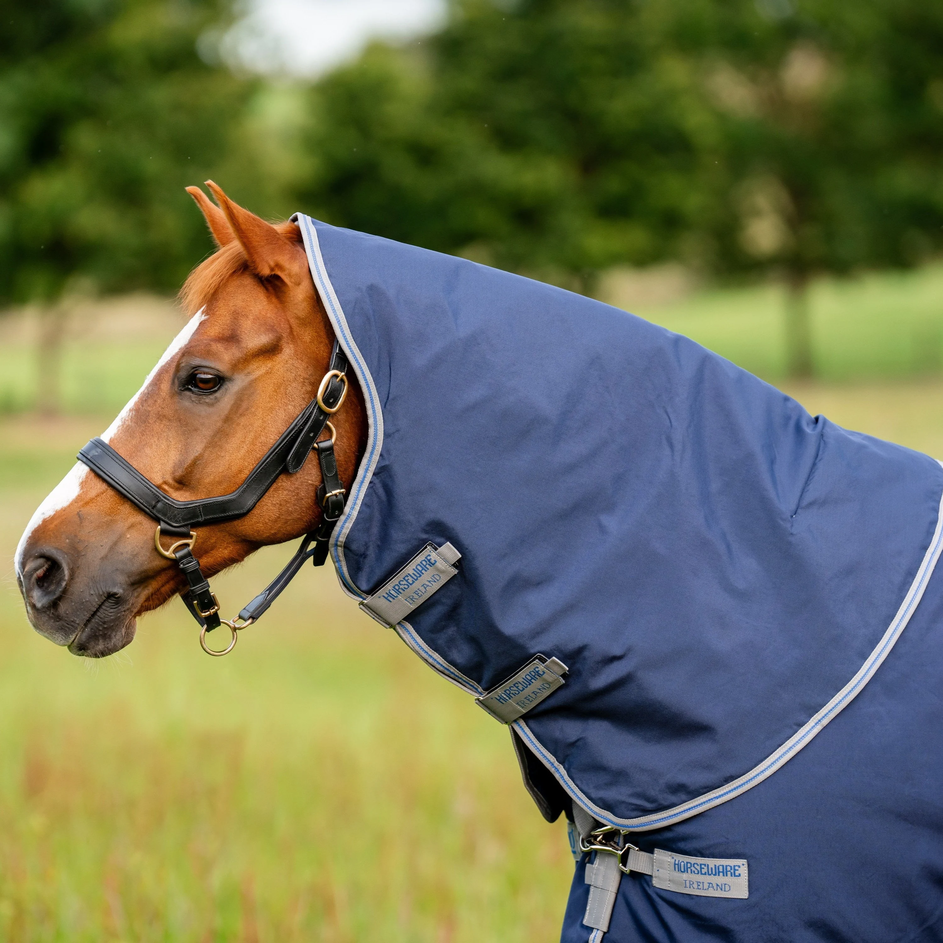 Horseware Ireland Rhino Turnout Hood 150g Fill - Image 2