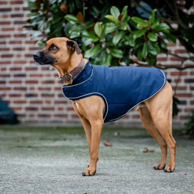 Horseware Ireland Signature 100g Dog Rain Coat