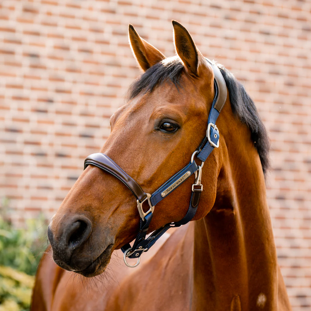 Horseware Ireland Signature Competition Headcollar - Image 4