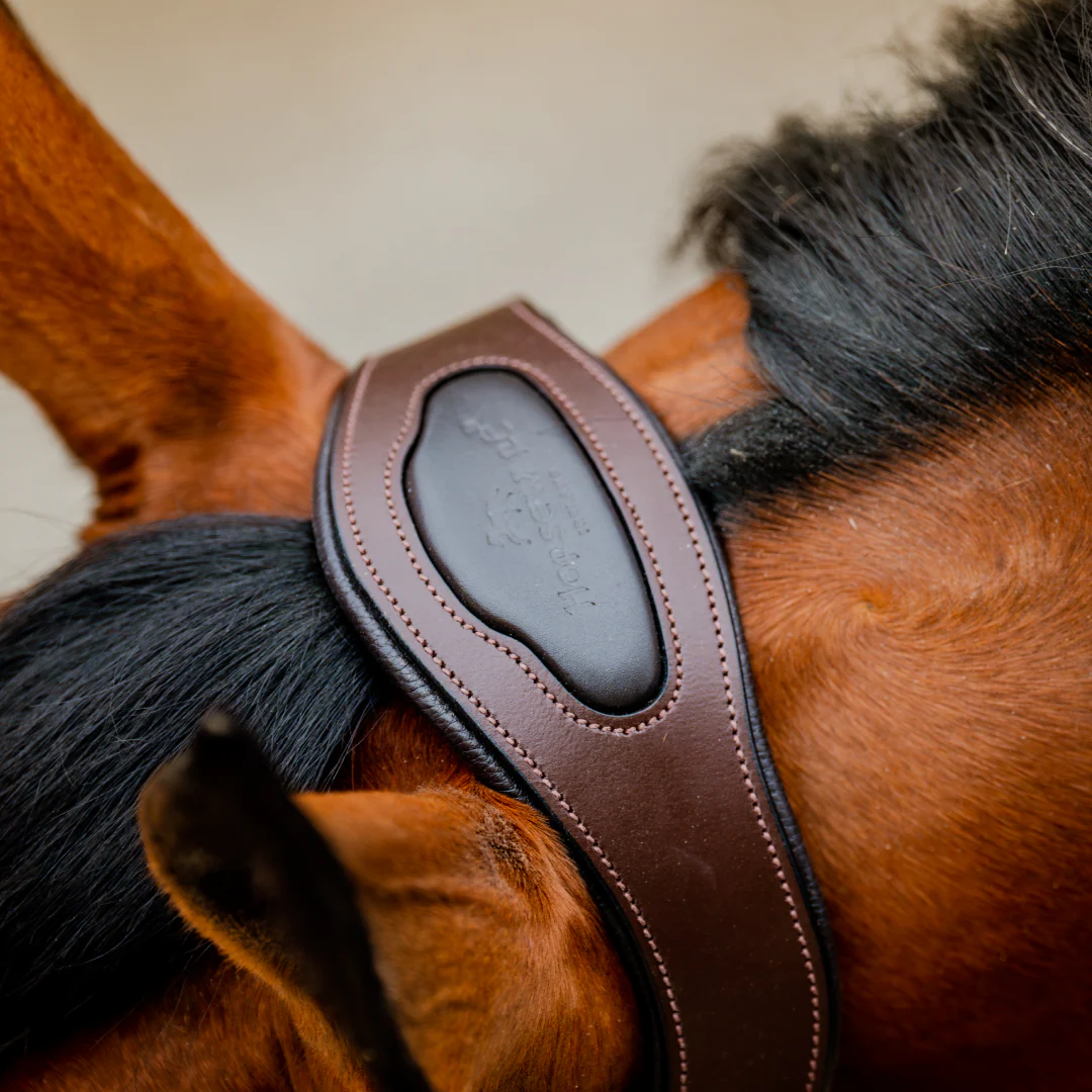 Horseware Ireland Signature Competition Headcollar - Image 5