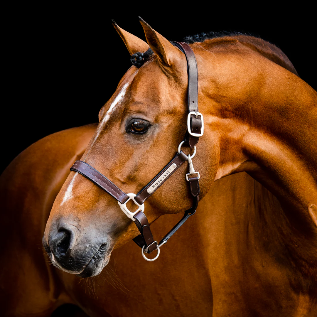 Horseware Ireland Signature Leather Headcollar - Image 2