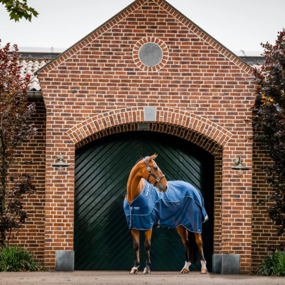 Horseware Ireland Signature Travel Cooler - Image 12