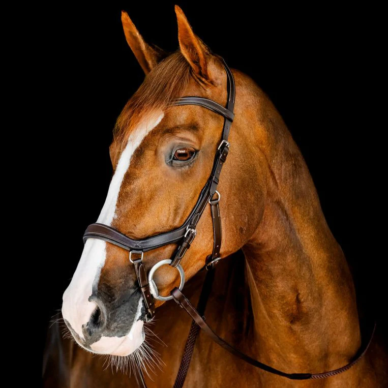 Horseware Micklem Competition Bridle - Image 4