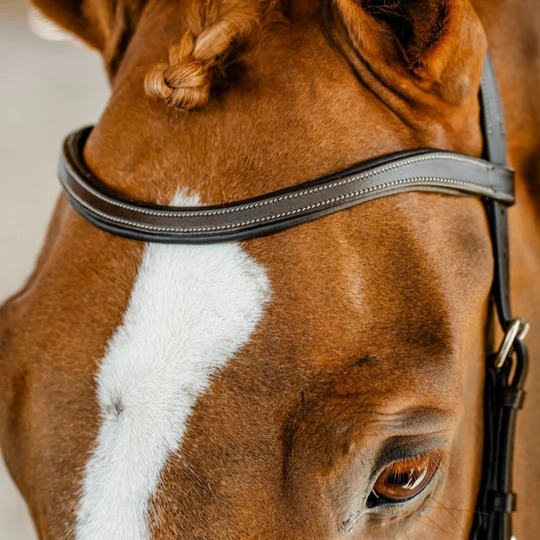 Horseware Micklem Competition Bridle - Image 7