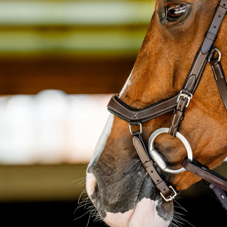 Horseware Micklem Competition Bridle - Image 8
