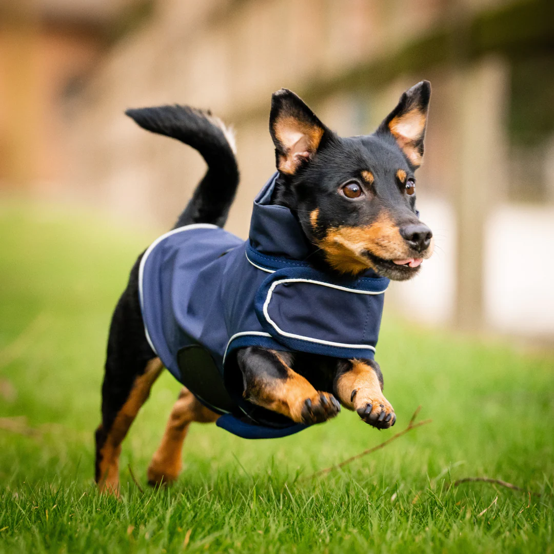 Horseware Signature Dog Rain Coat - Image 5
