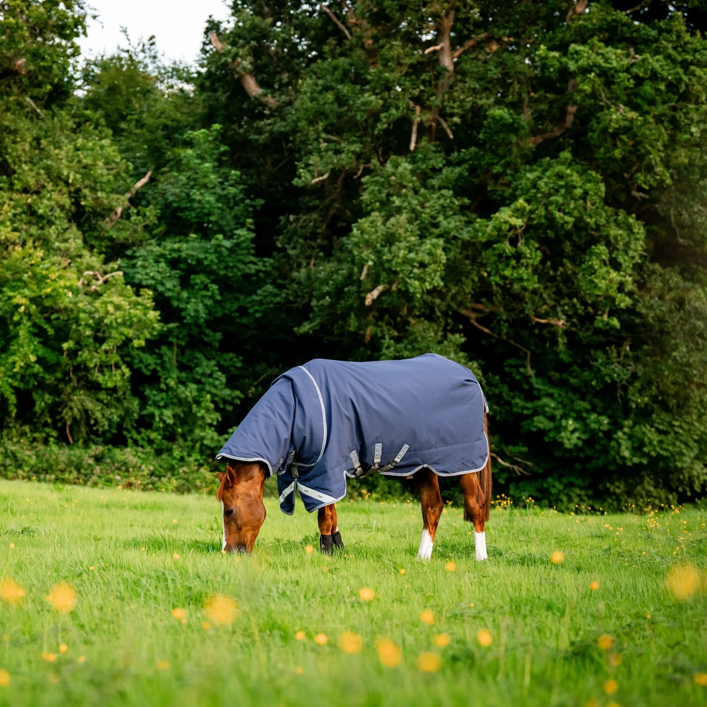 Horseware Ireland Rhino Plus Turnout Lite 100g - Image 9