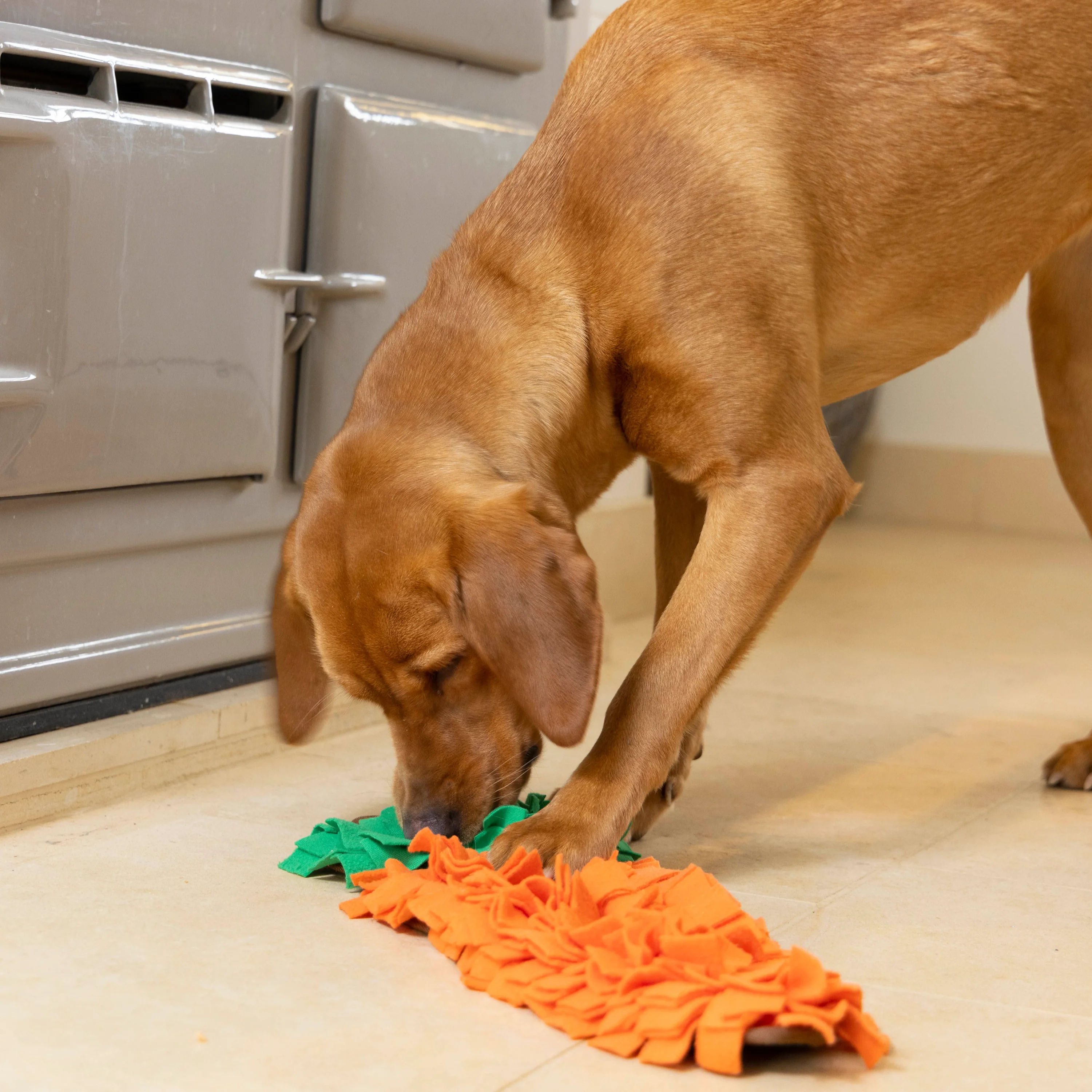House of Paws Snuffle Toy - Image 2