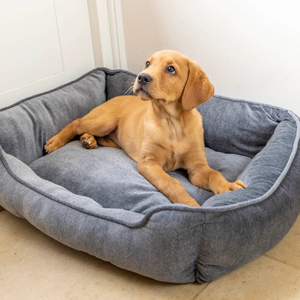 House of Paws Velvet Square Bed - Image 2