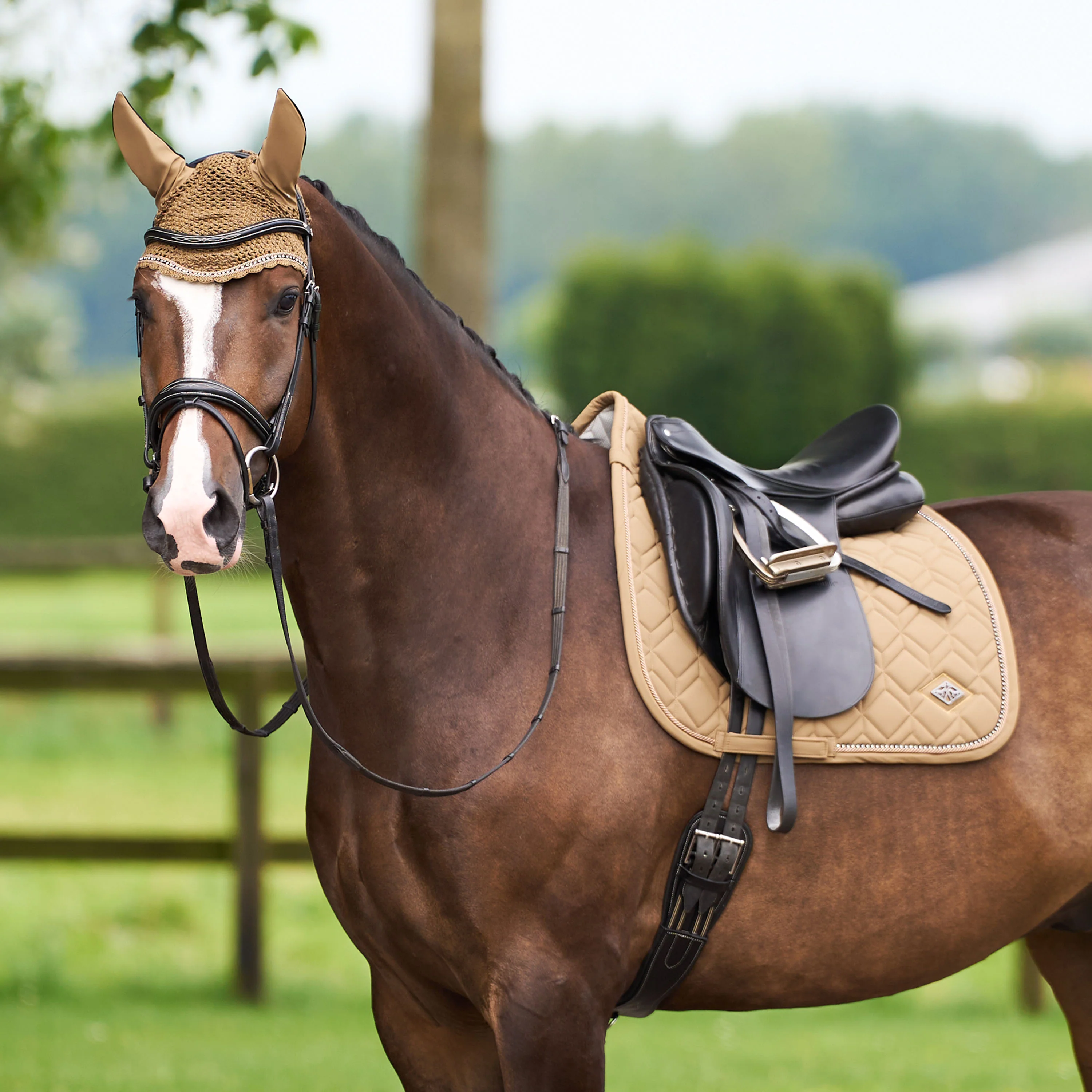 HV Polo Classic Dressage Saddle Pad Classic - Image 18