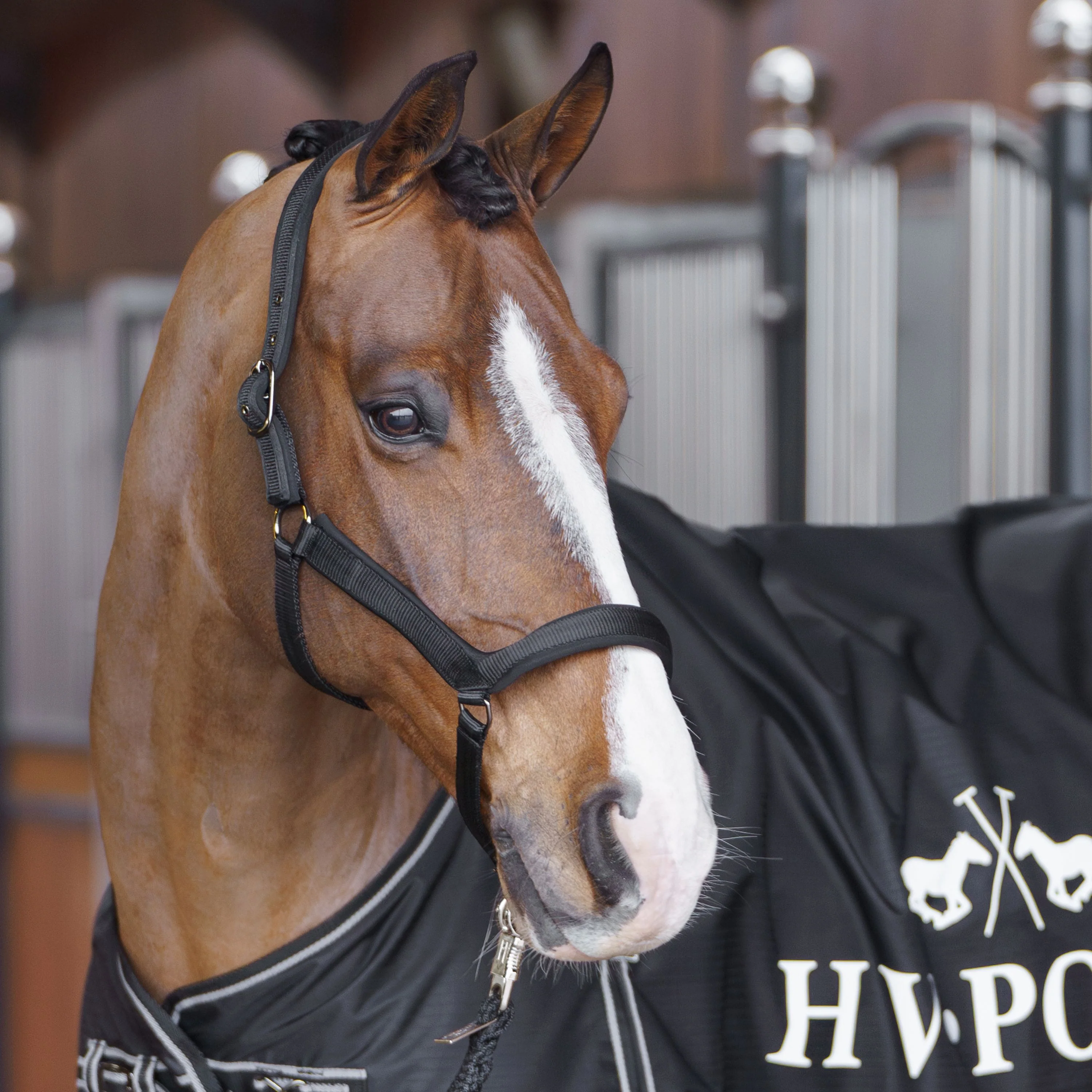 HV Polo Essential Headcollar - Image 5