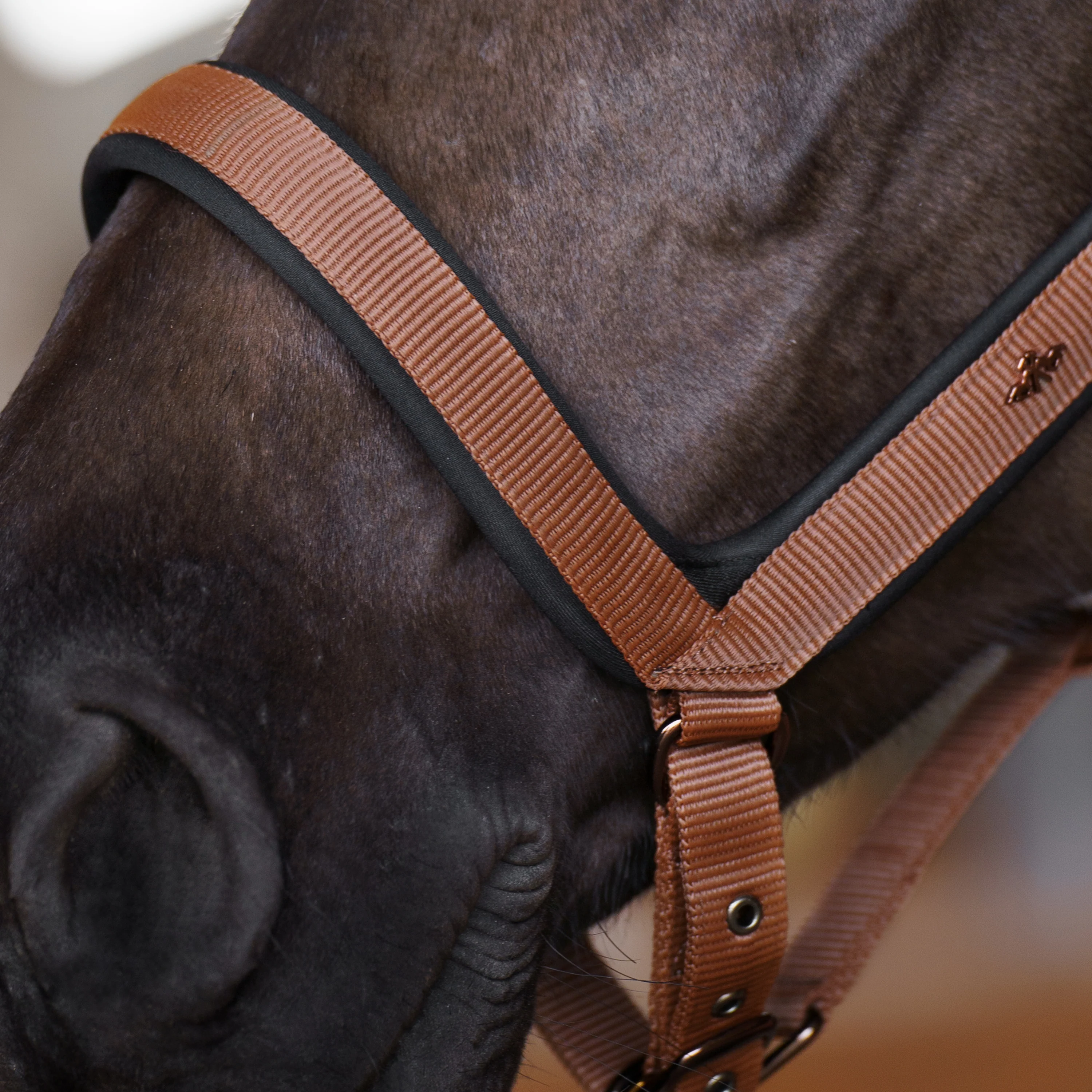 HV Polo Essential Headcollar - Image 9
