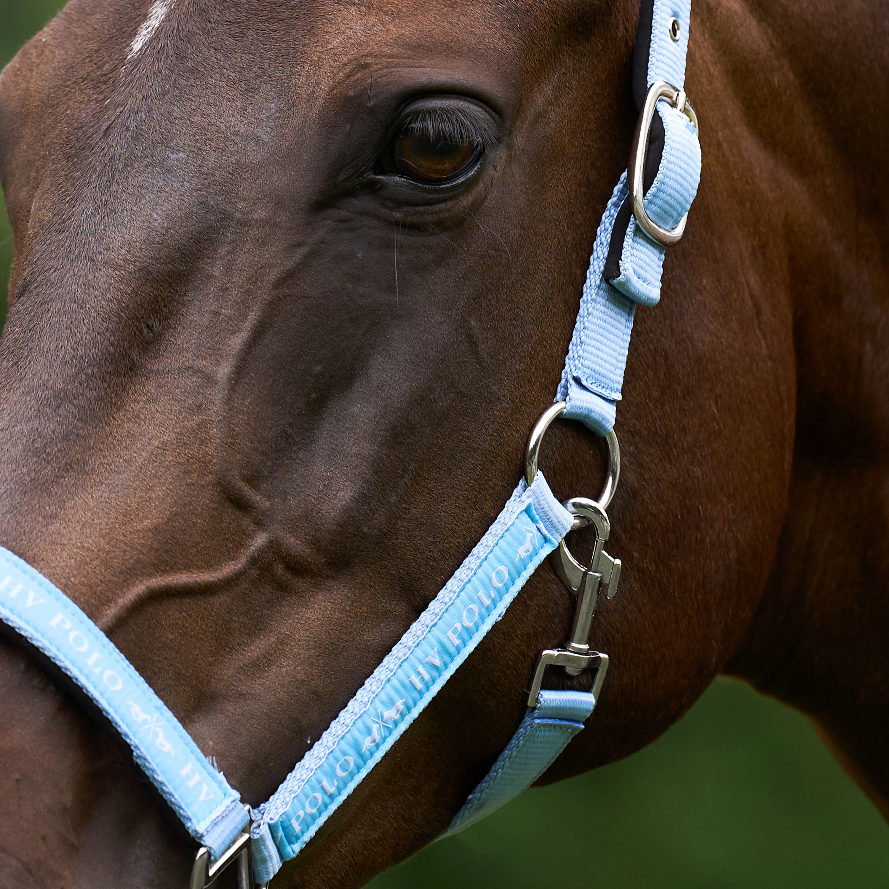 HV Polo Nena Headcollar - Image 12