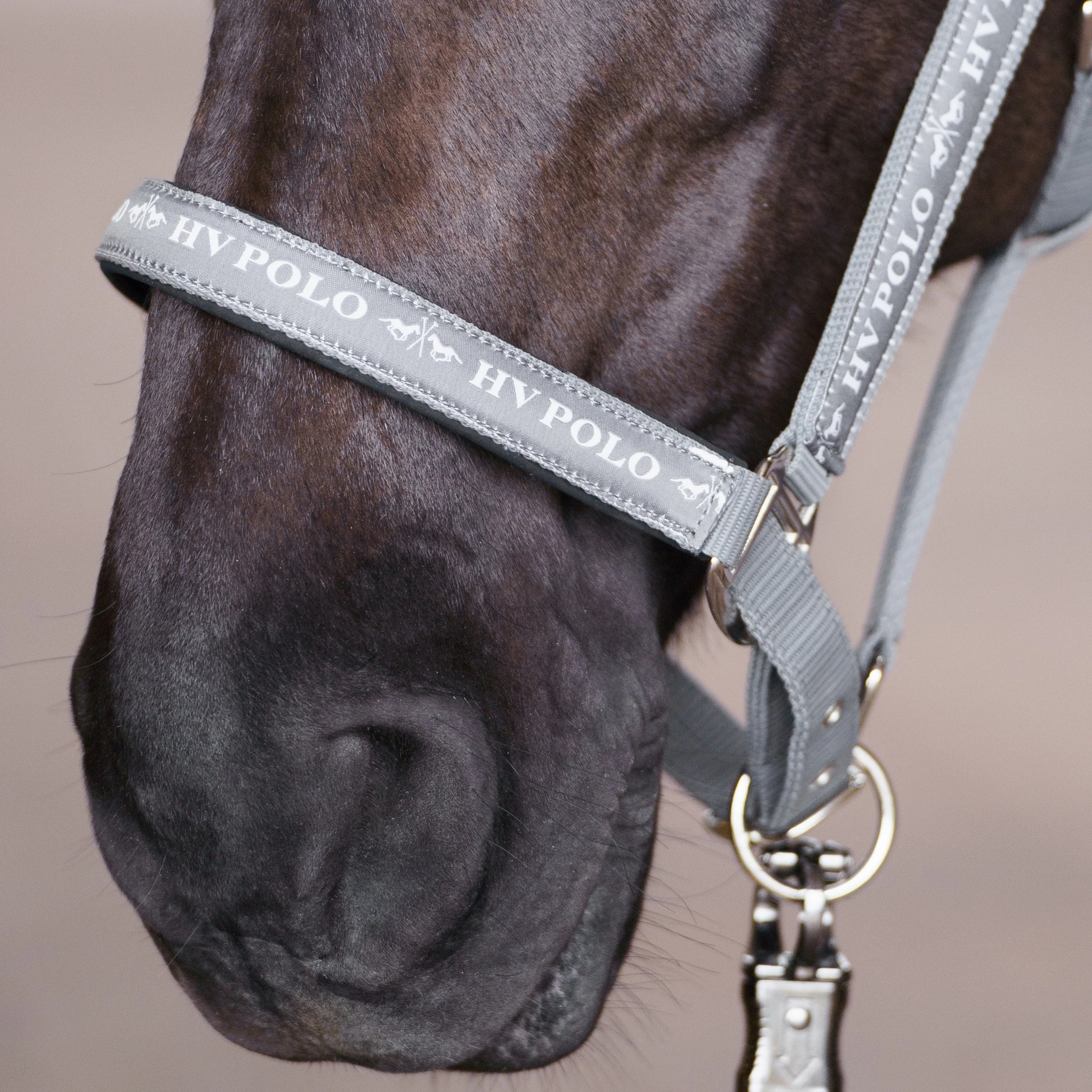 HV Polo Nena Headcollar - Image 14