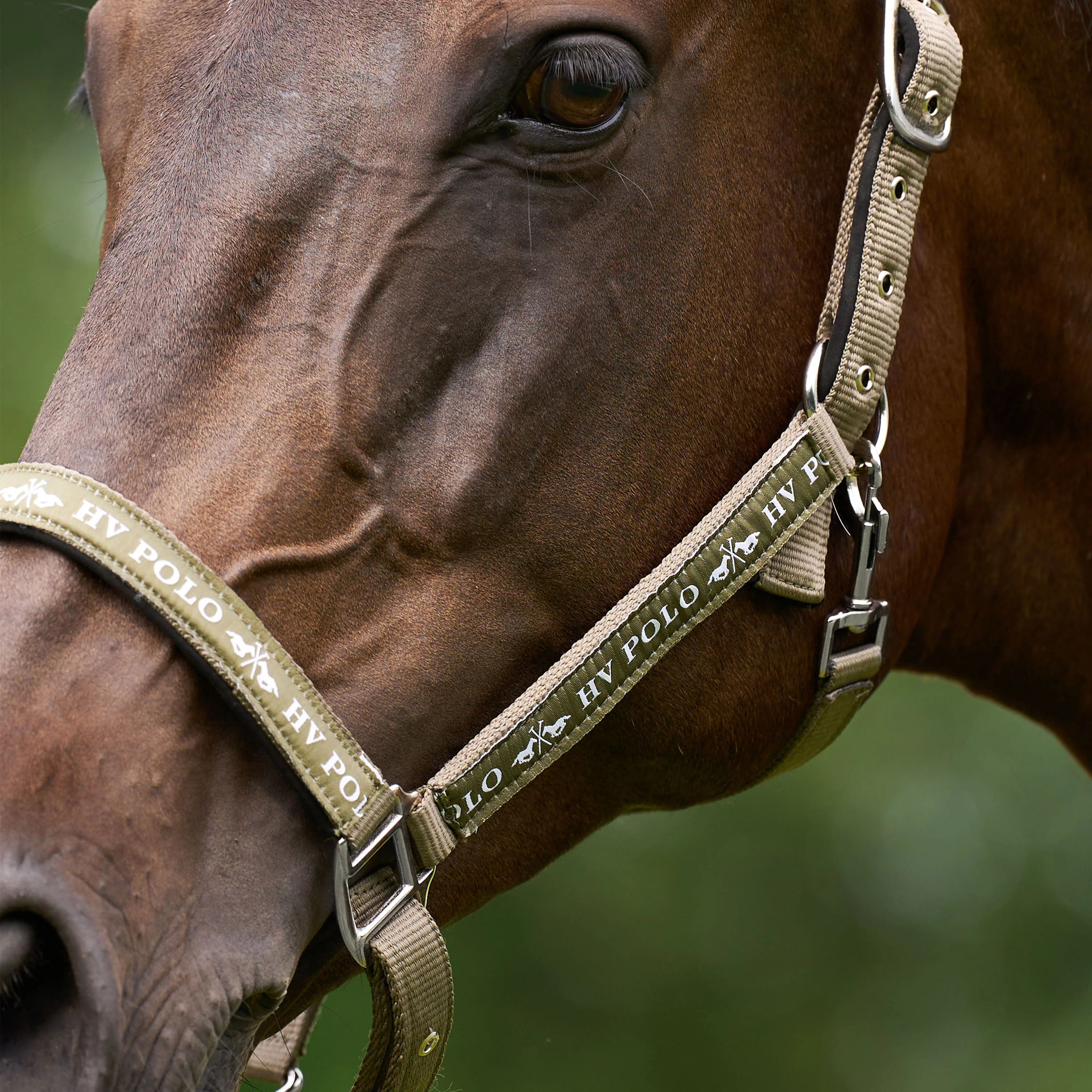 HV Polo Nena Headcollar - Image 16