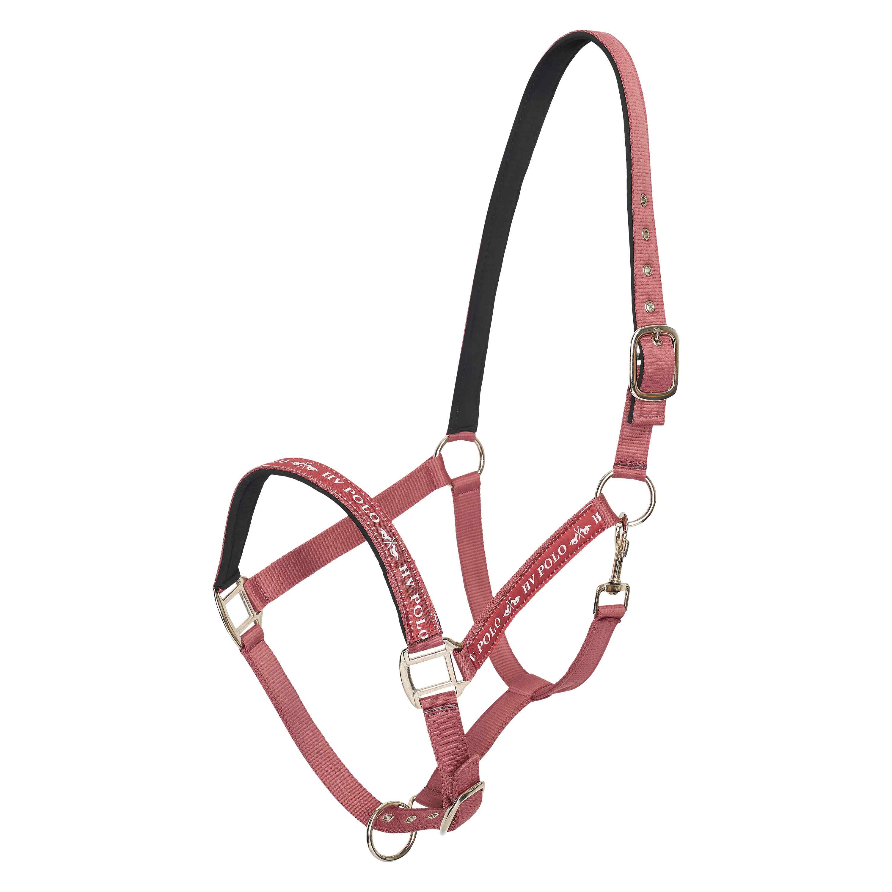 HV Polo Nena Headcollar - Image 6