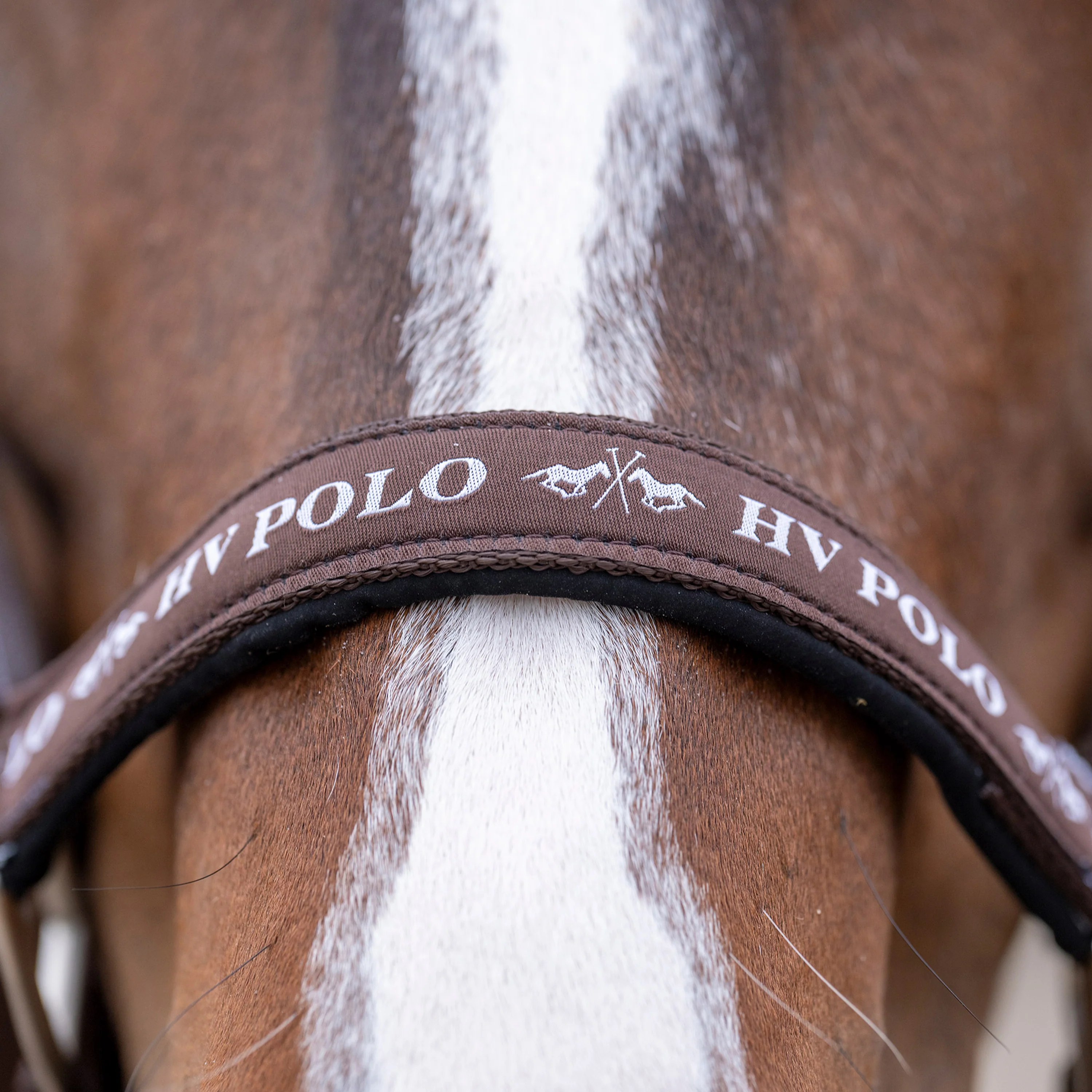 HV Polo Nena Headcollar - Image 8