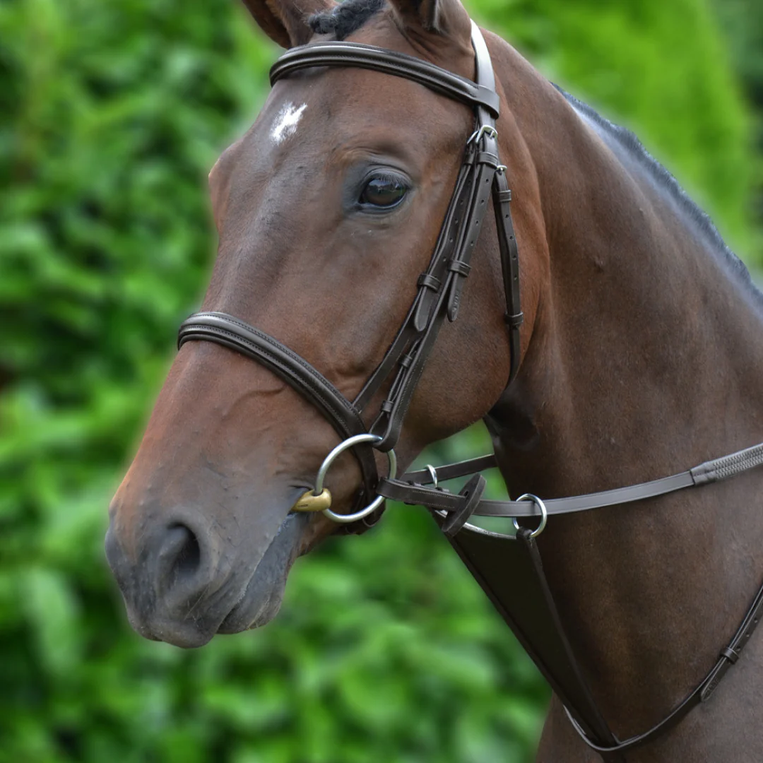 HY Bib Martingale - Image 2