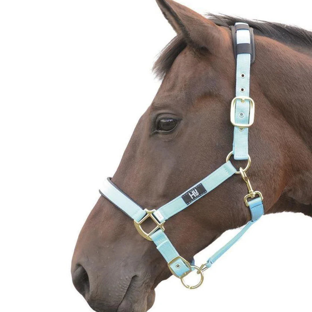 Hy Deluxe Padded Head Collar - Image 3