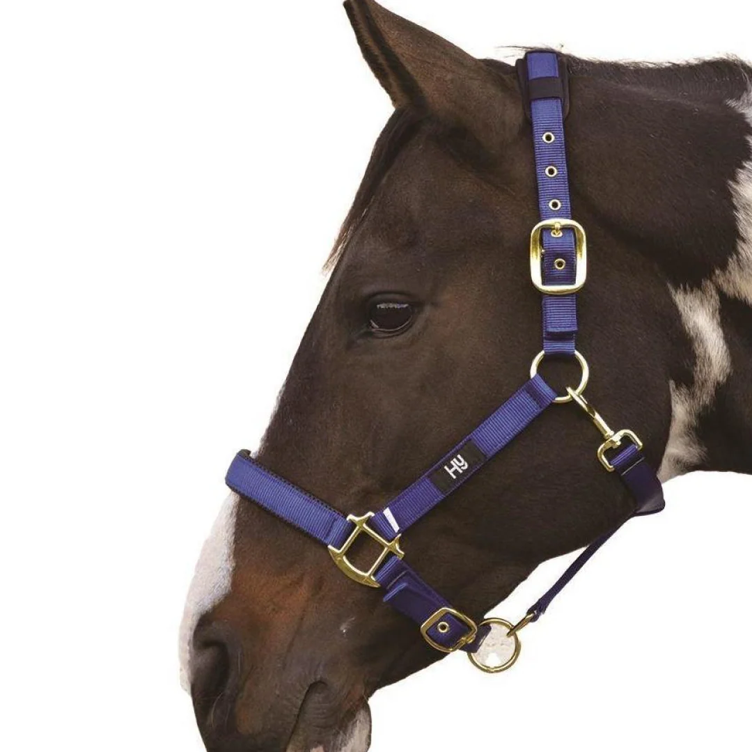 Hy Deluxe Padded Head Collar - Image 4