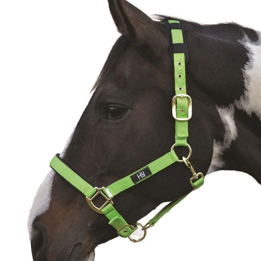 Hy Deluxe Padded Head Collar - Image 5
