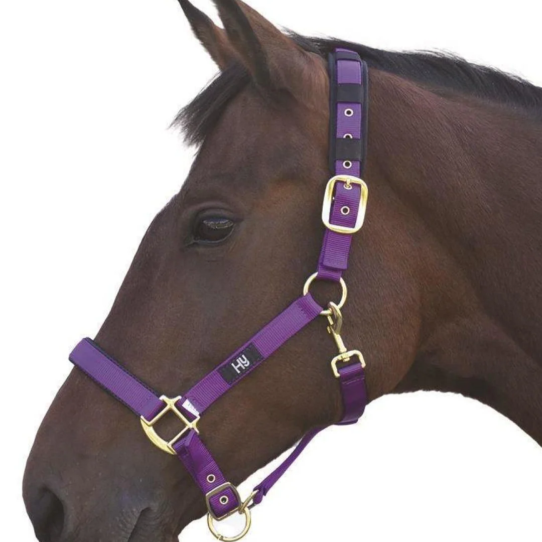 Hy Deluxe Padded Head Collar - Image 6