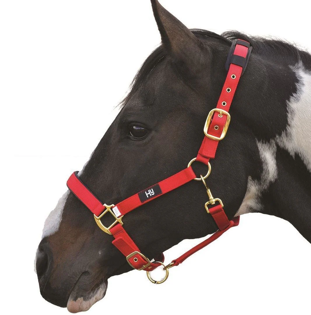 Hy Deluxe Padded Head Collar - Image 7