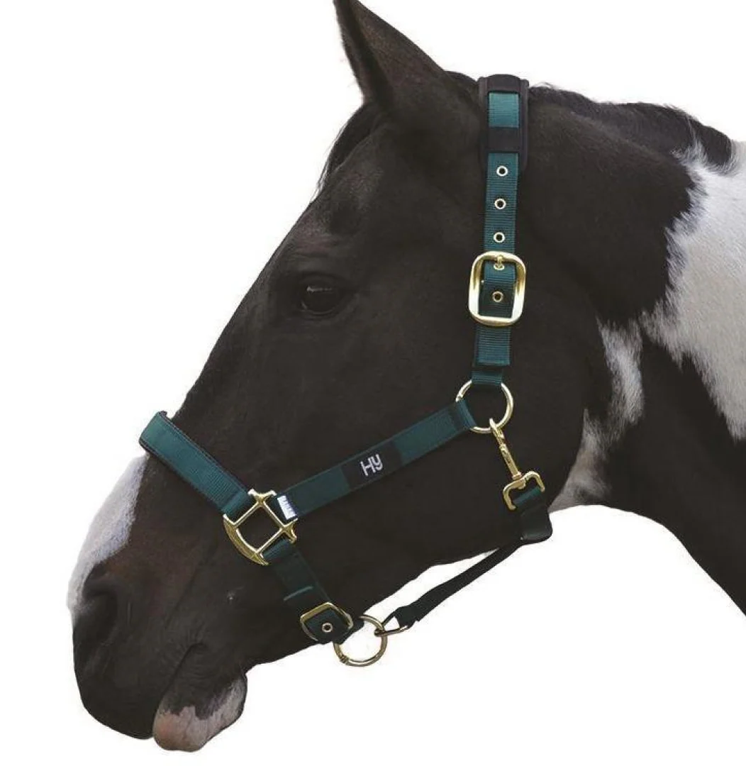Hy Deluxe Padded Head Collar - Image 8