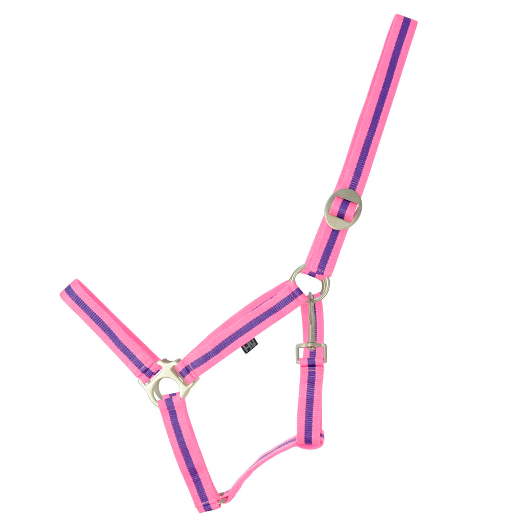 Hy Equestrian Duo Head Collar - Image 5